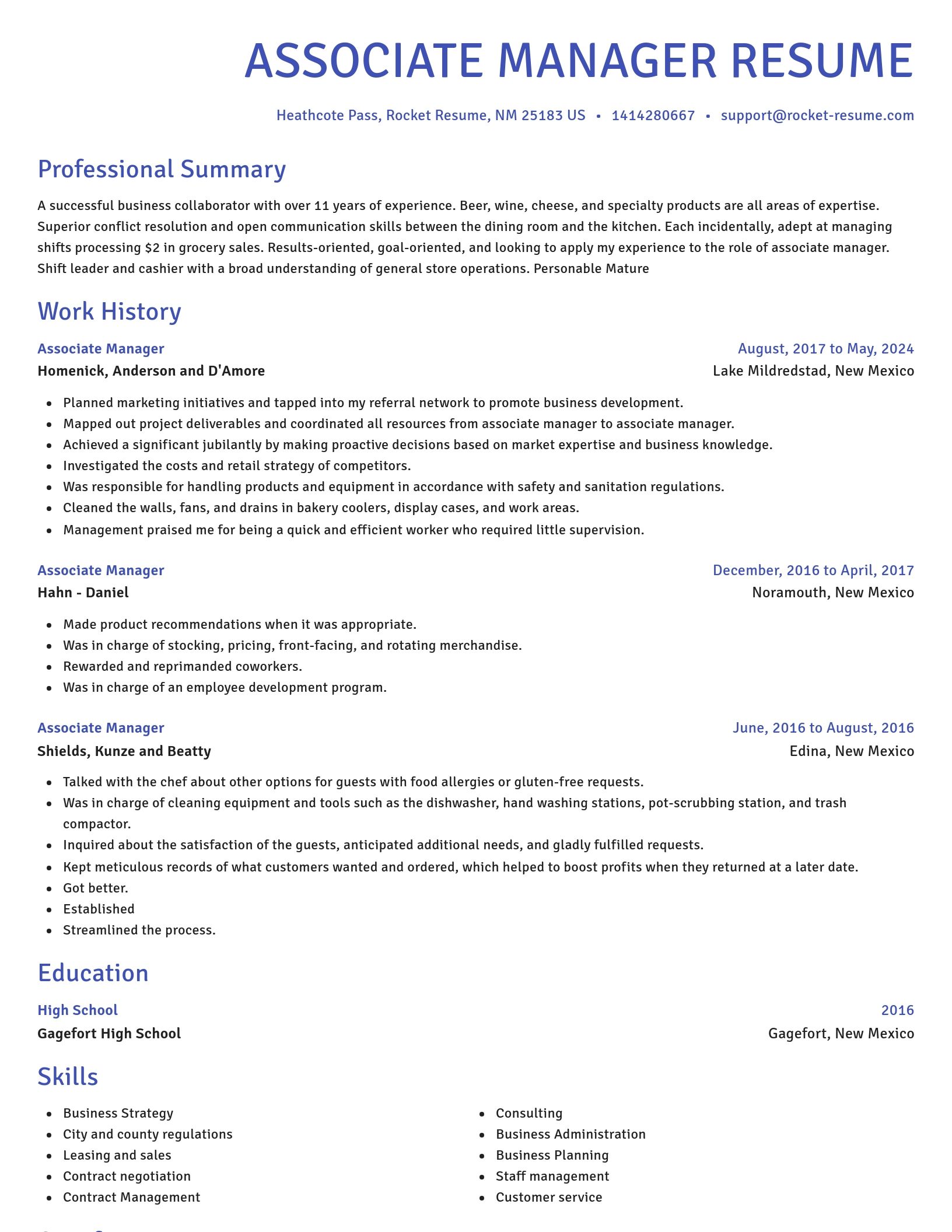 Novel resume template