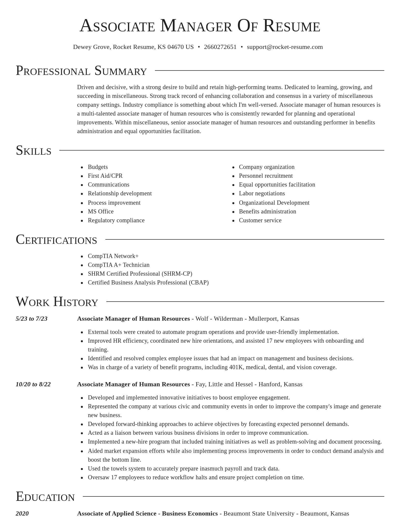 Director resume template