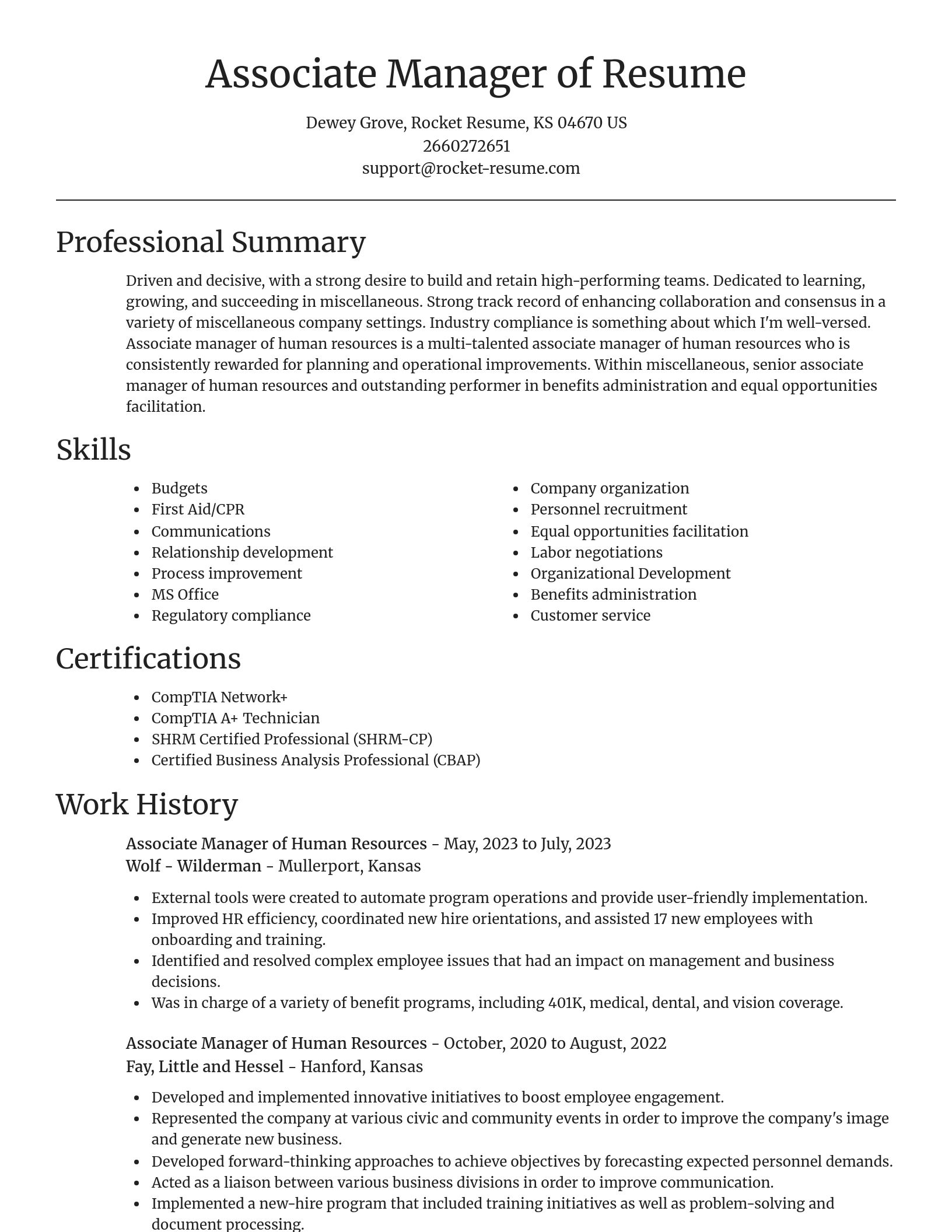 Focal Point resume template