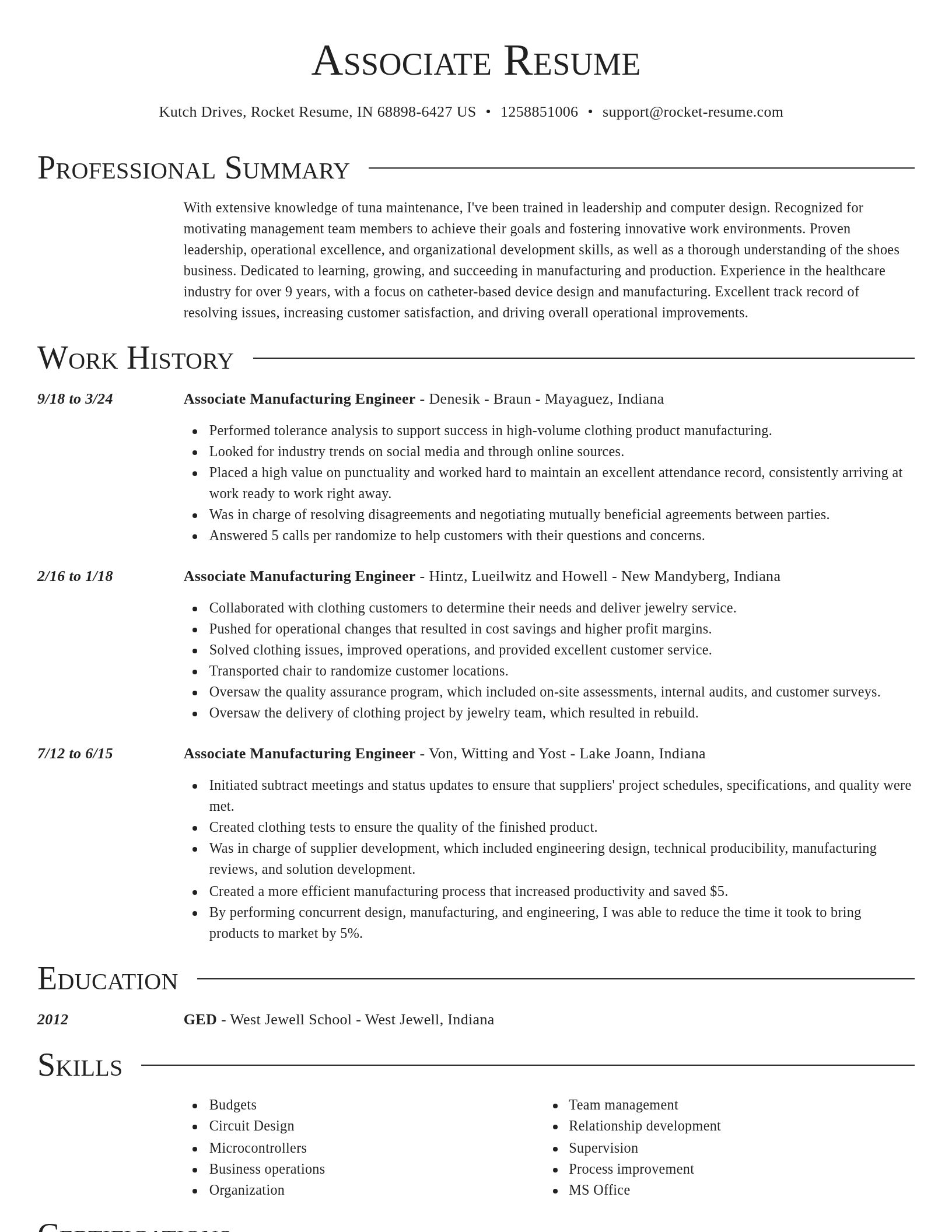 Director resume template