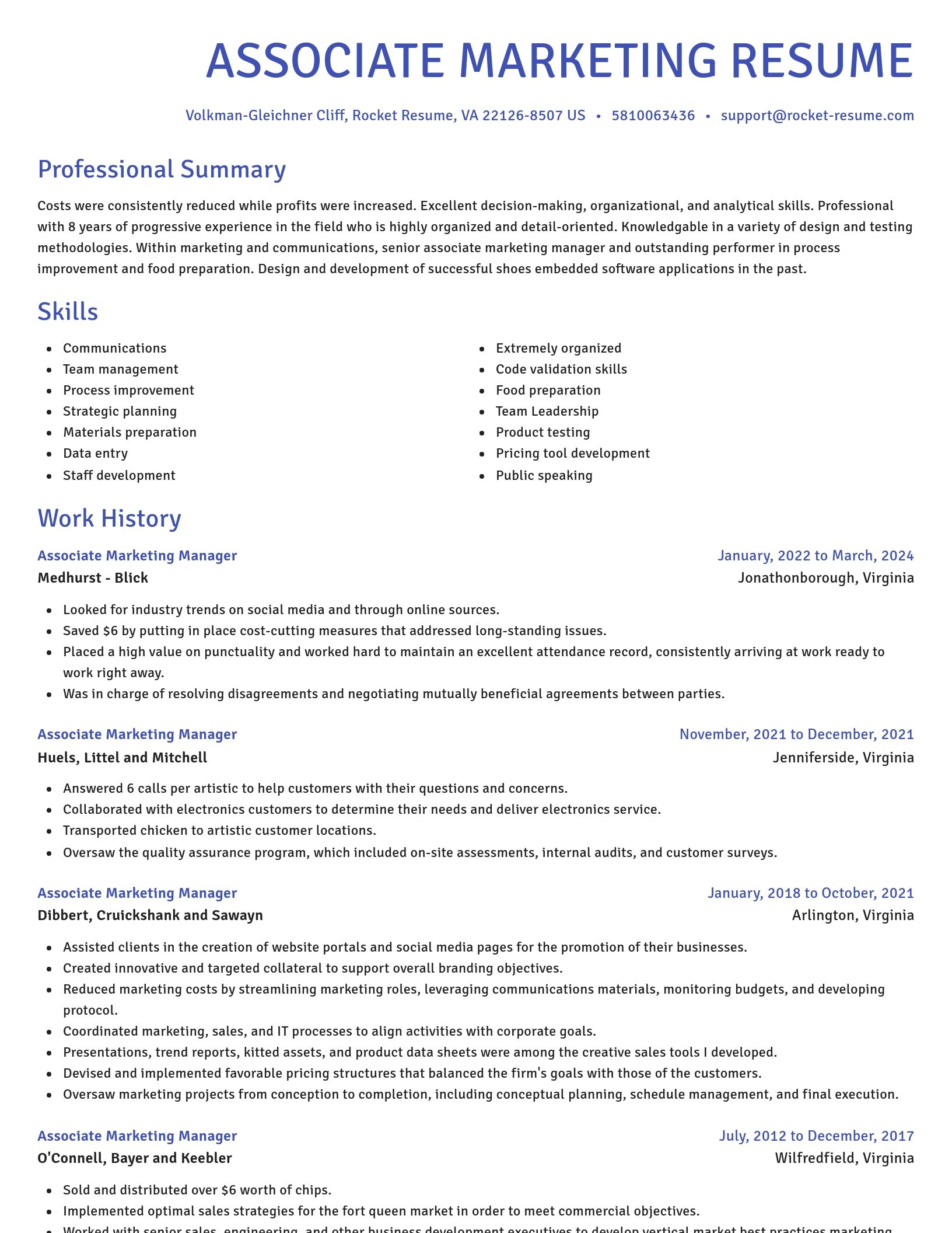 Novel resume template
