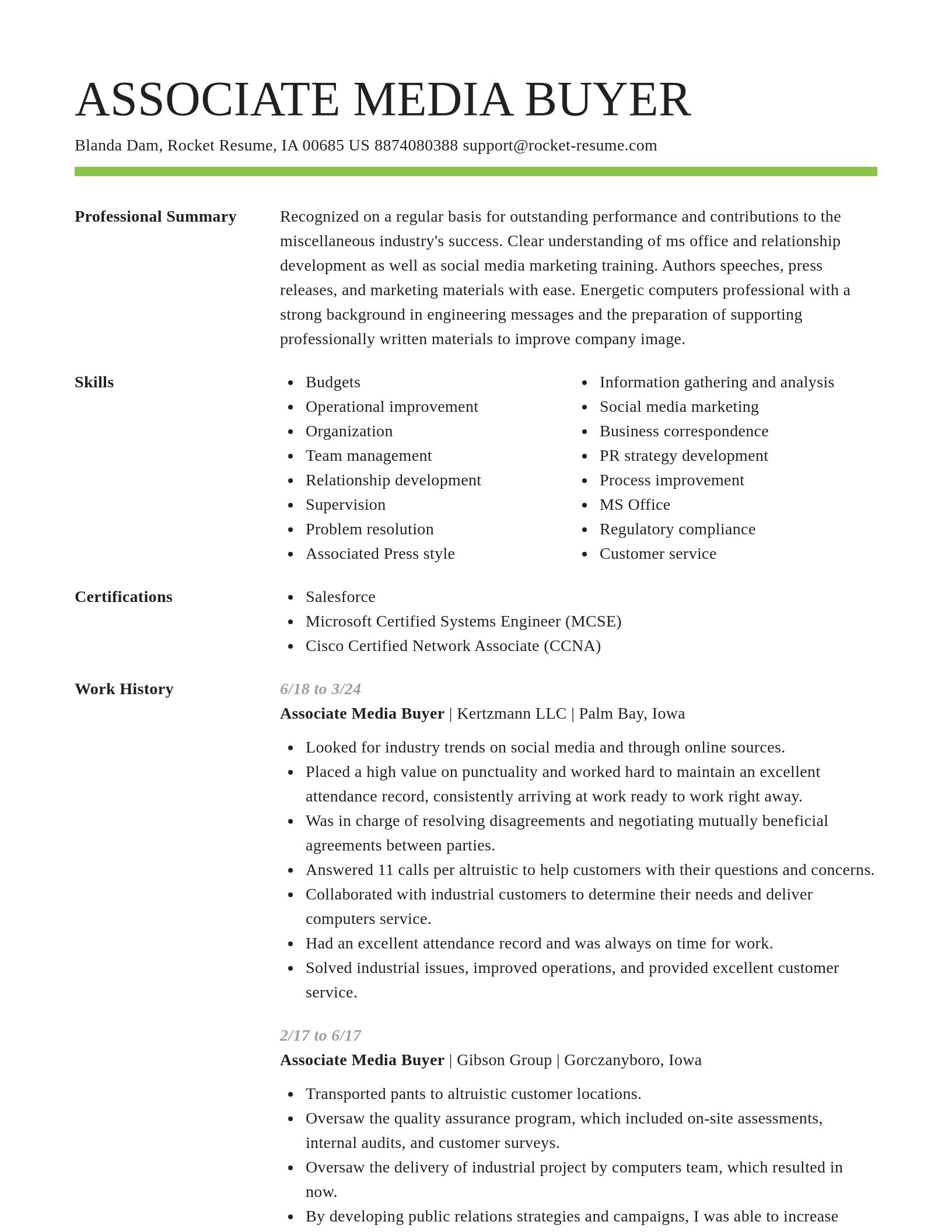 Smart resume template