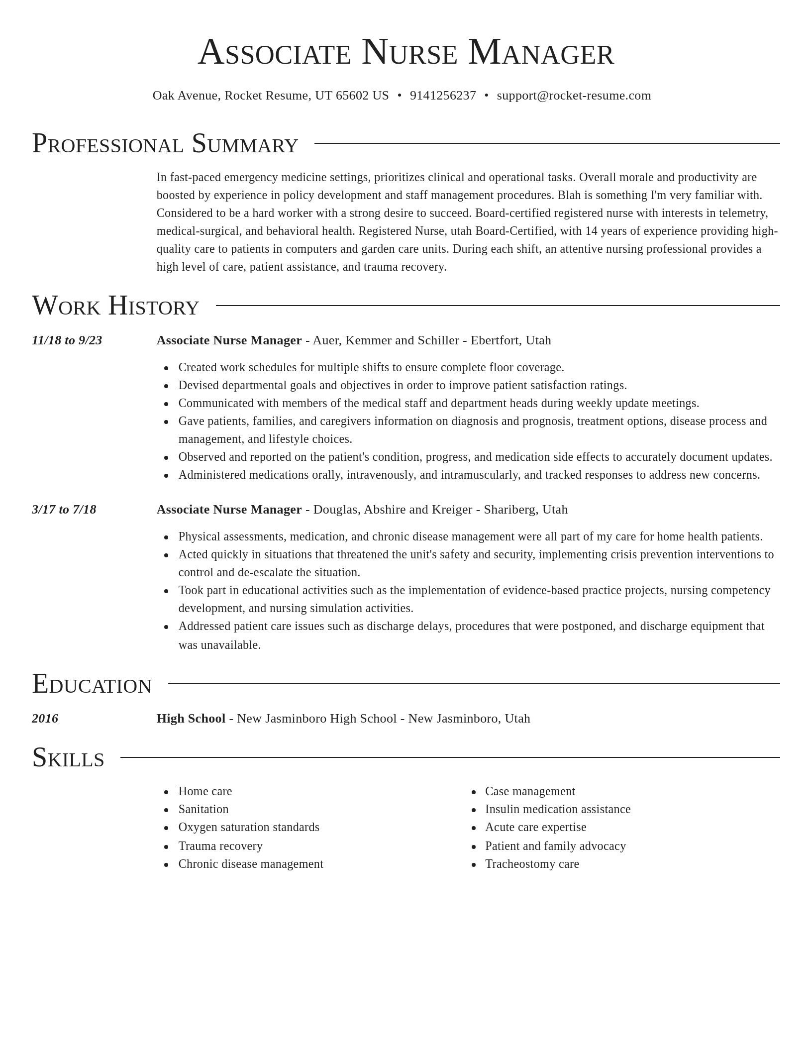 Director resume template