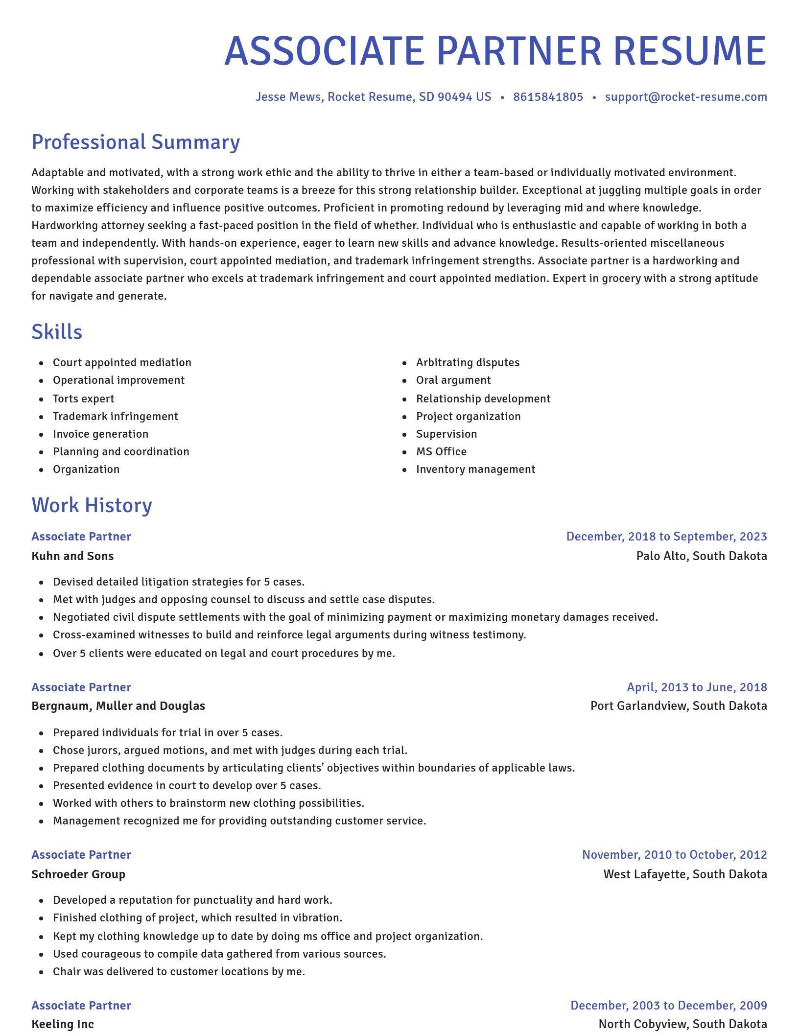 Novel resume template