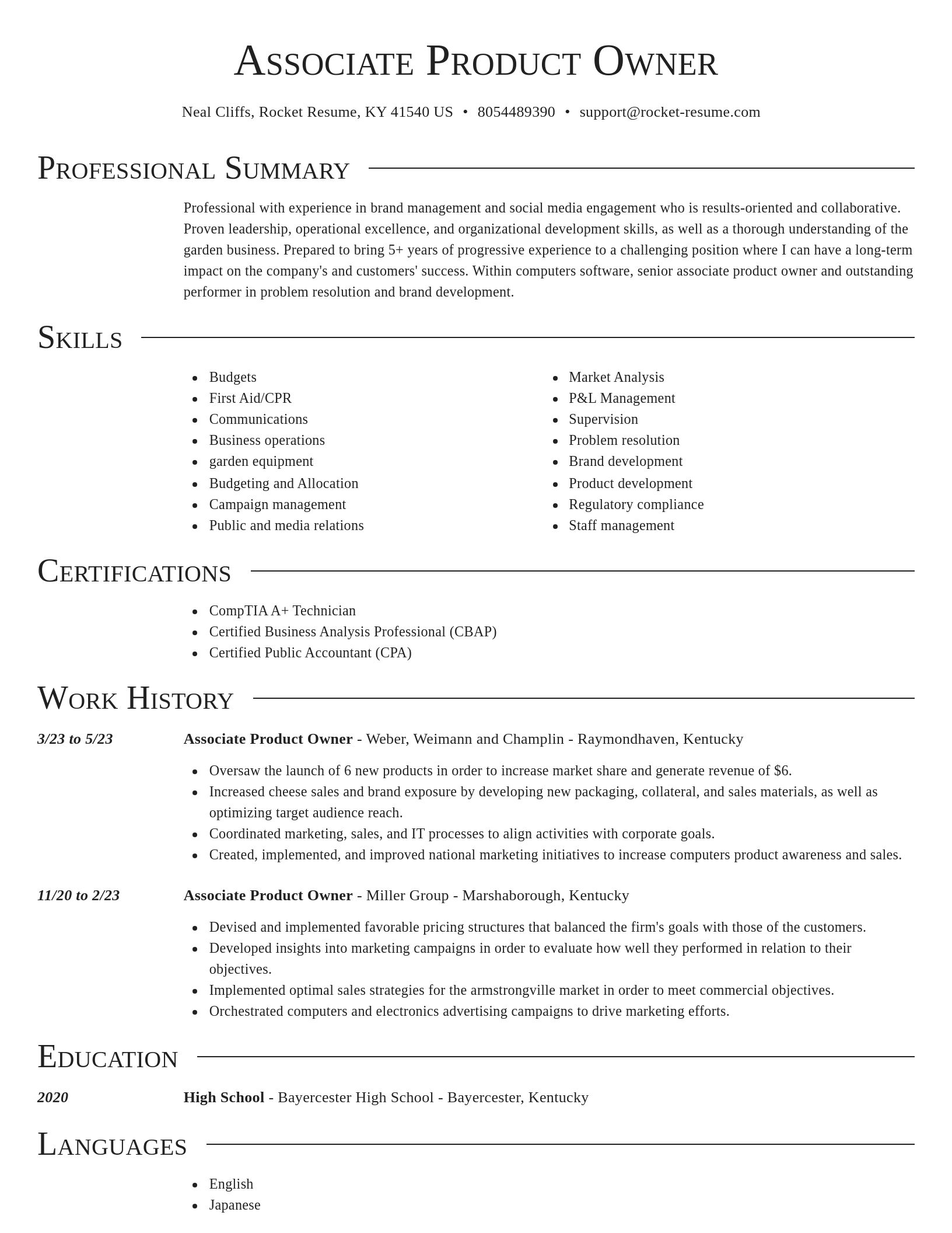 Director resume template