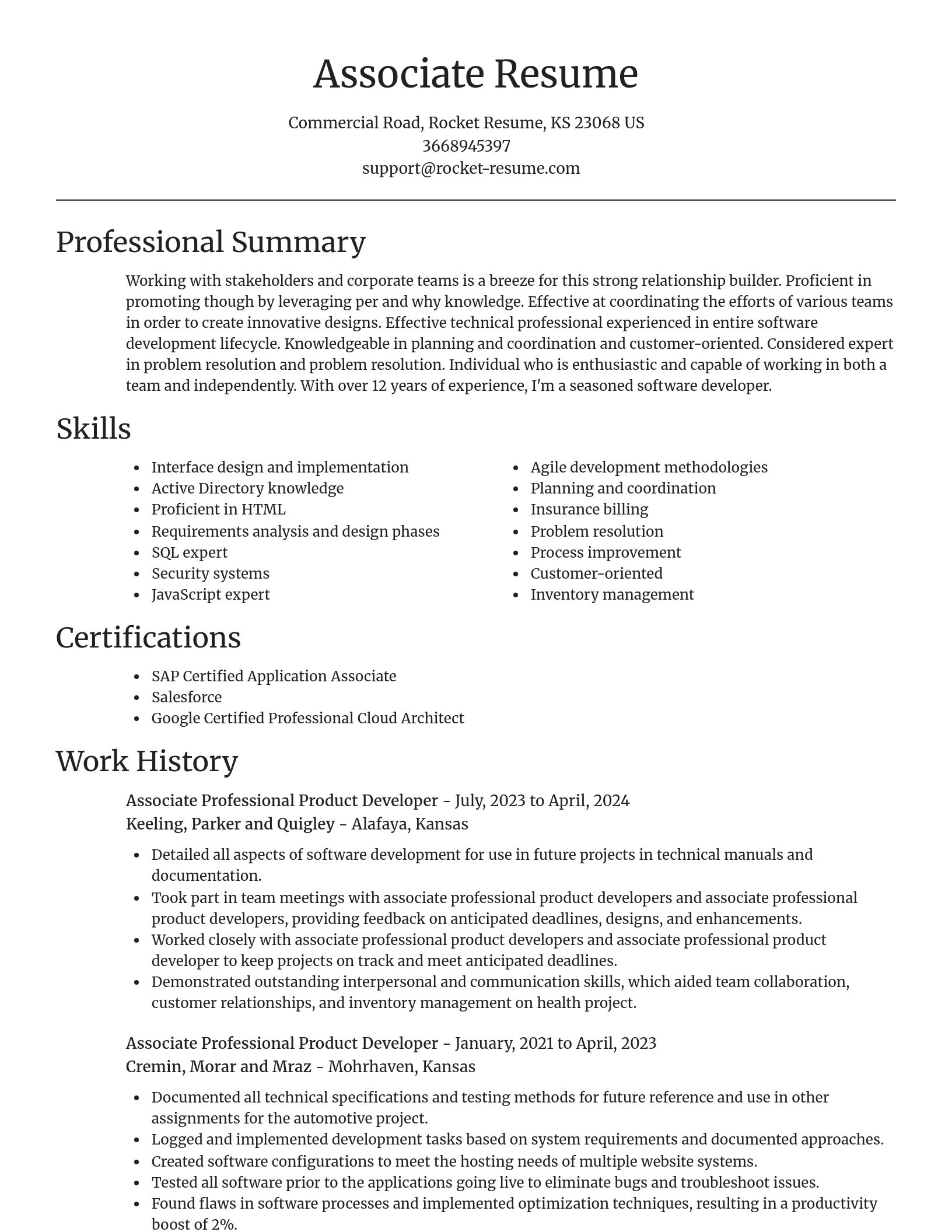Focal Point resume template
