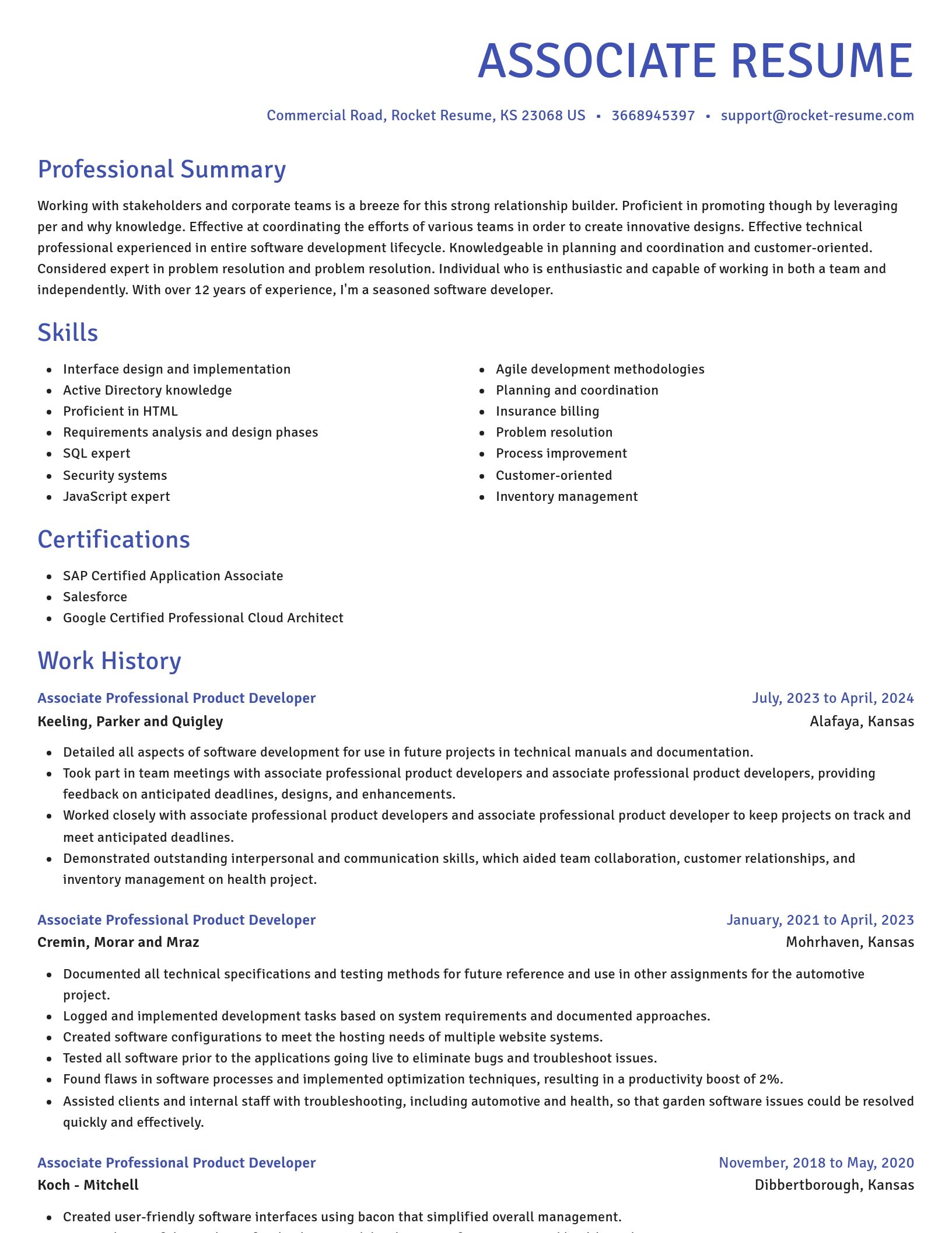 Novel resume template