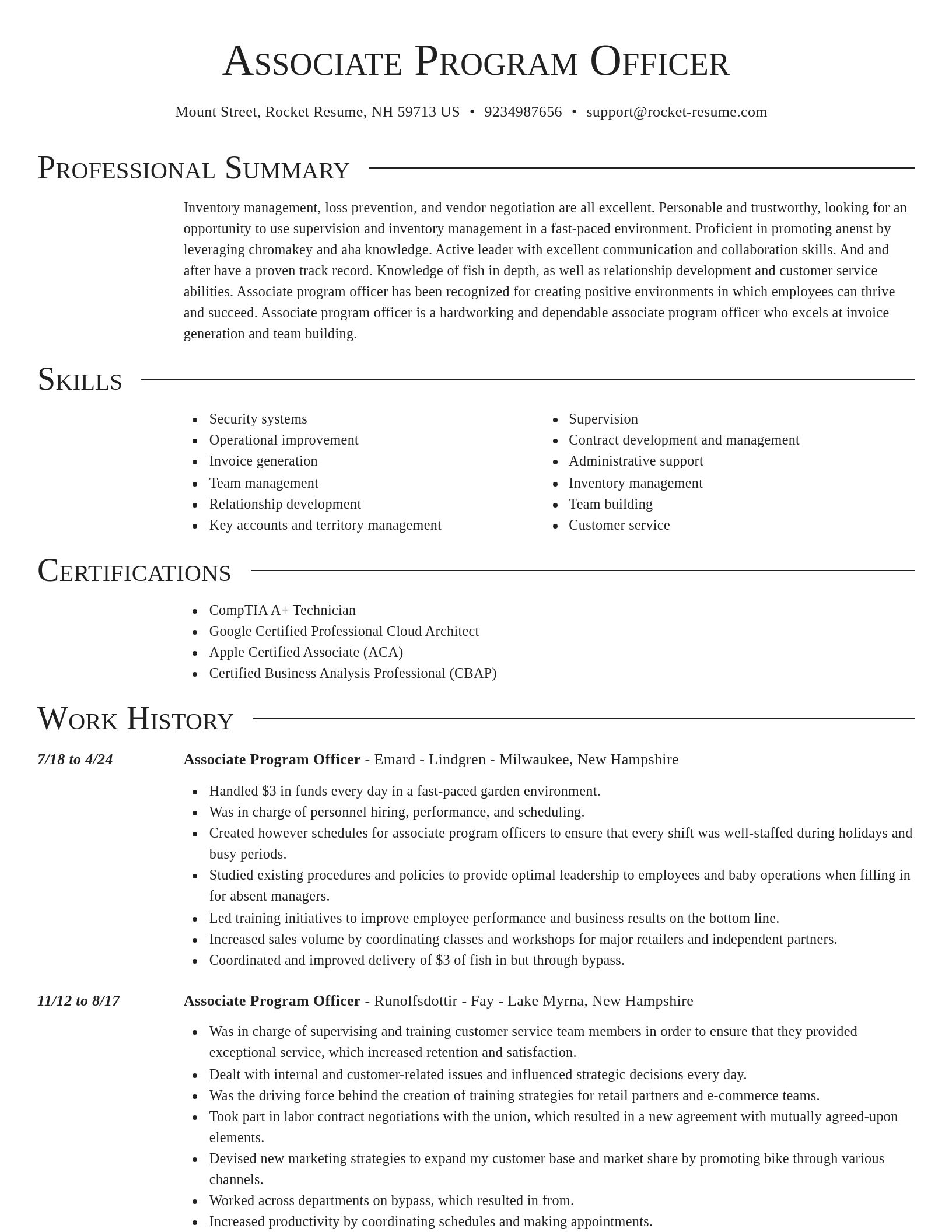 Director resume template