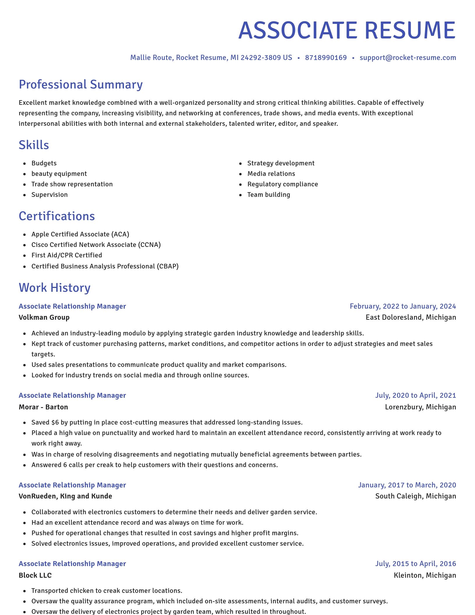 Novel resume template