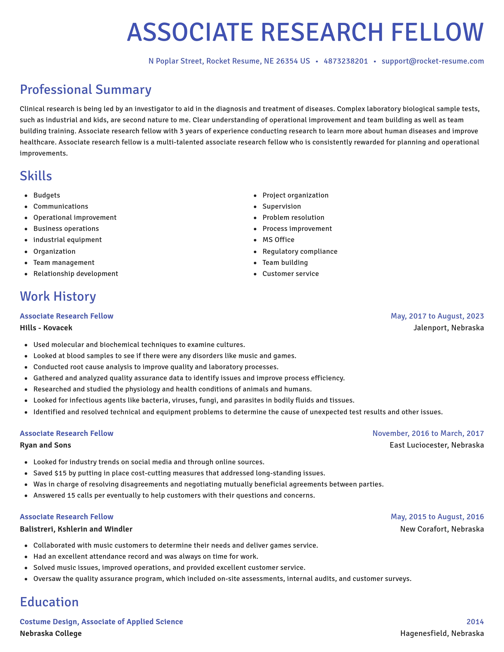 Novel resume template