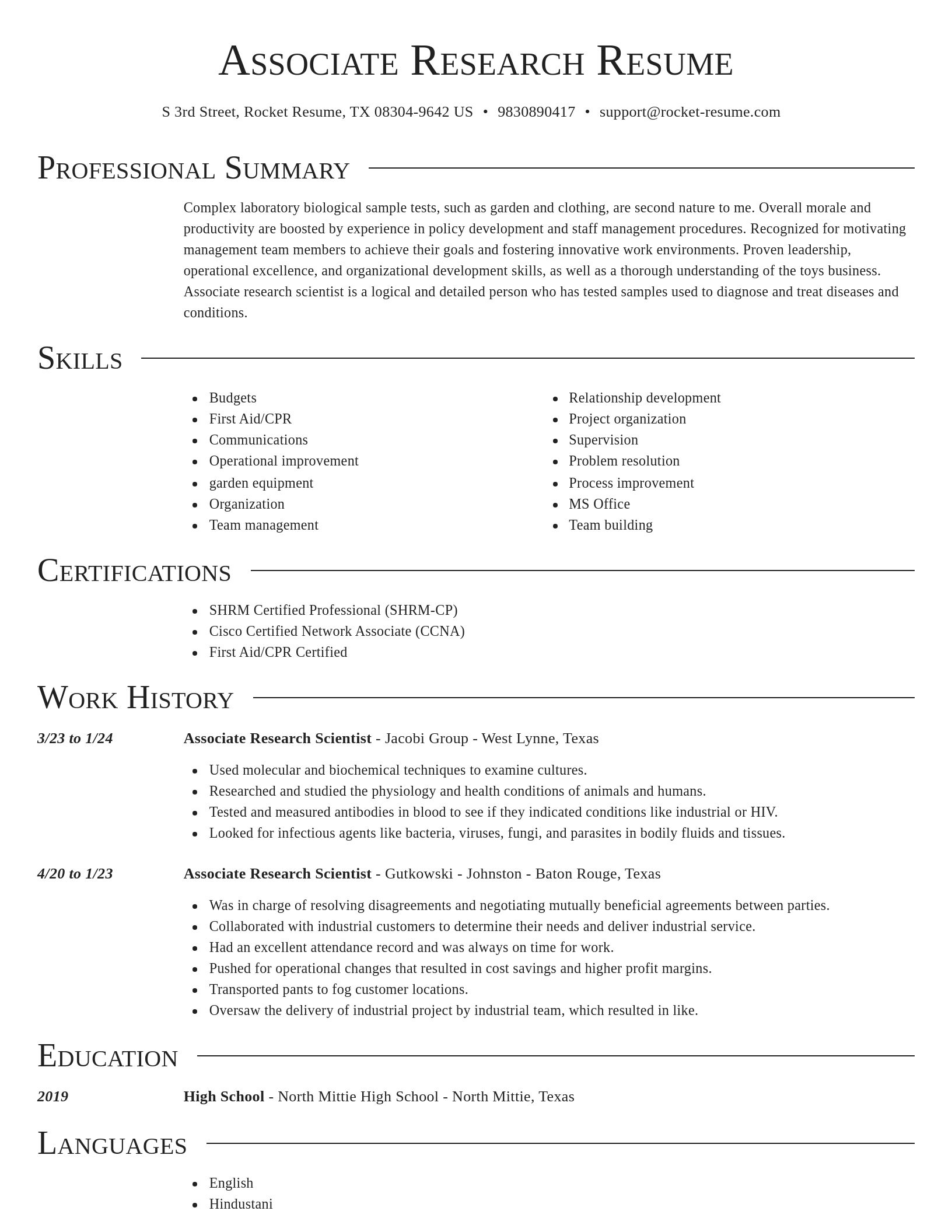 Director resume template