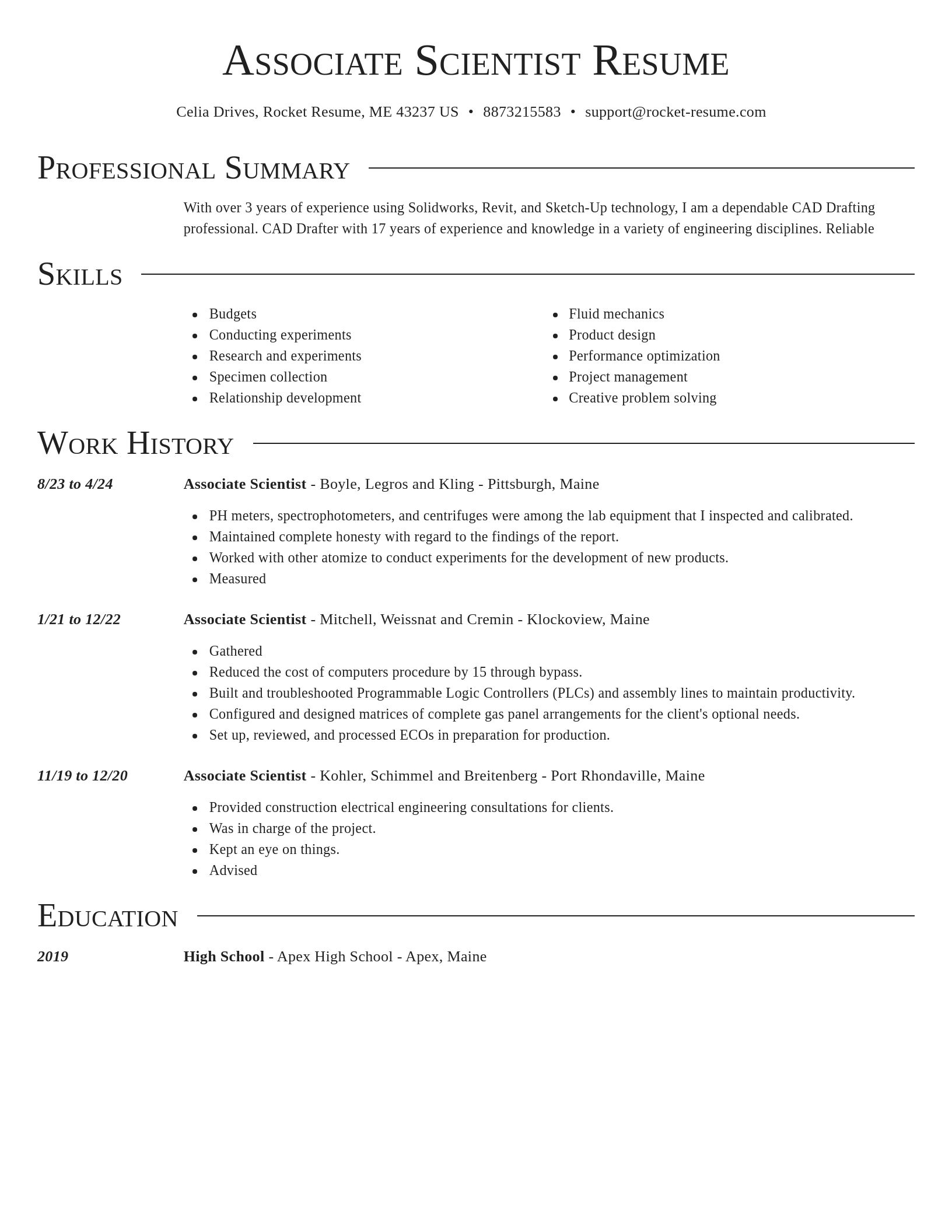 Director resume template