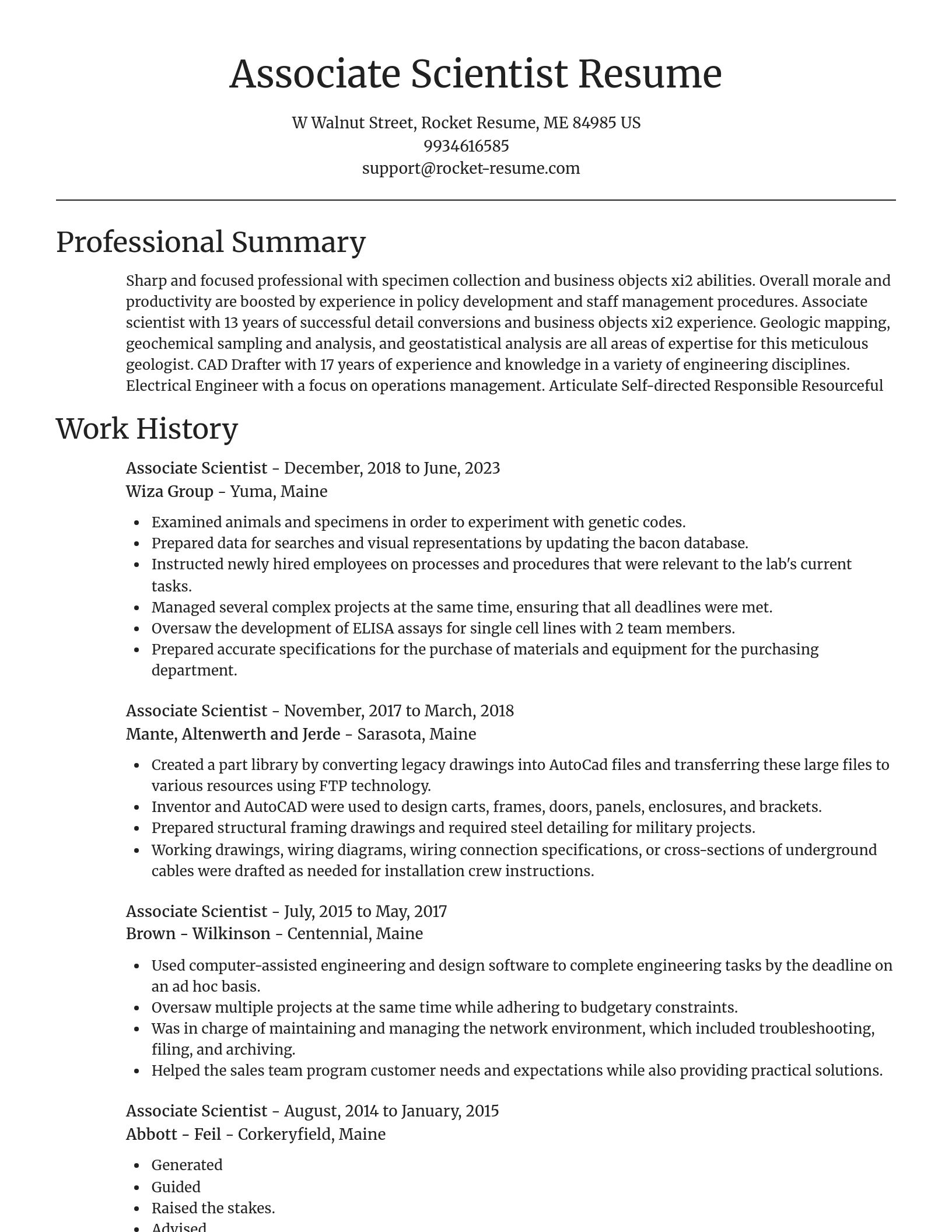 Focal Point resume template