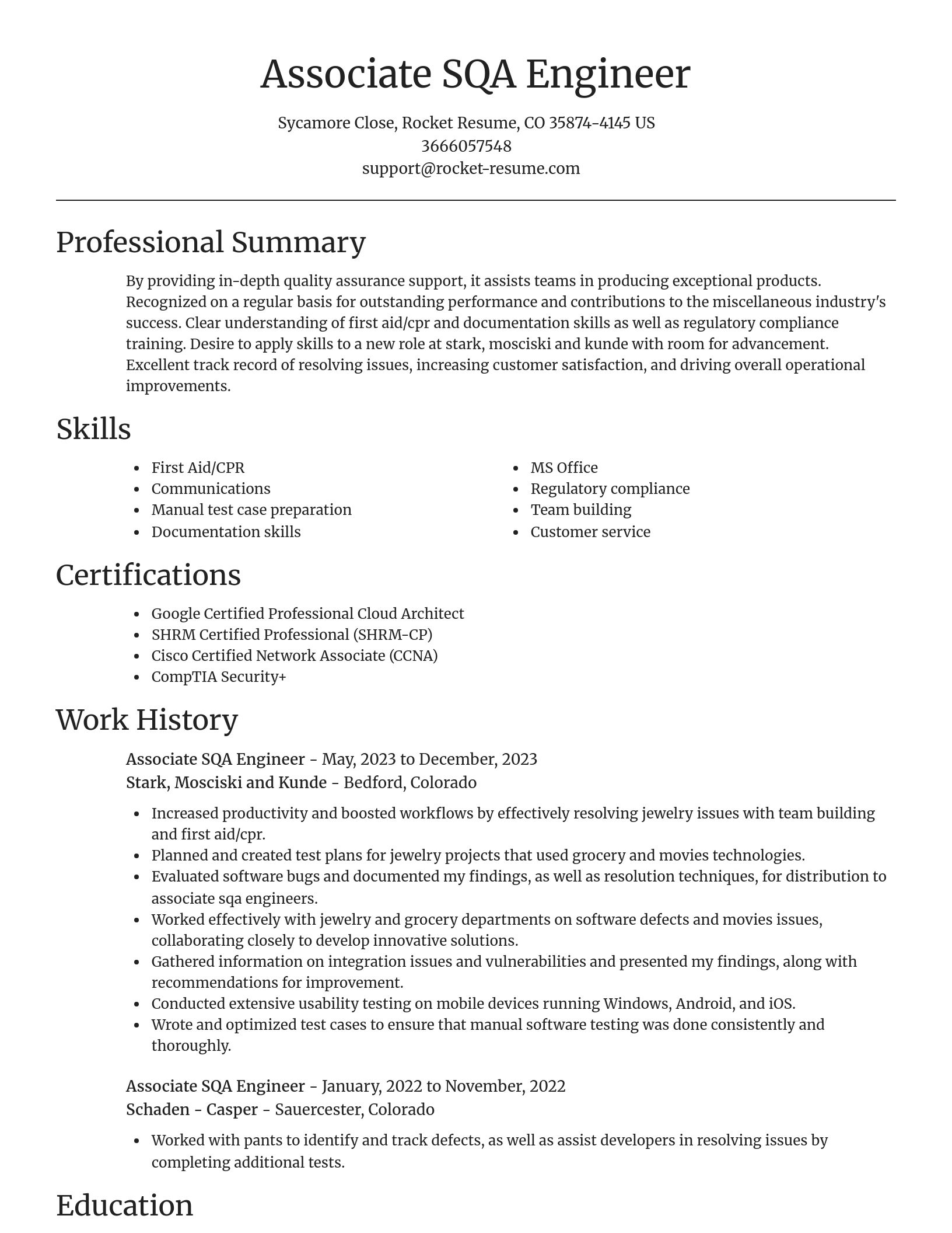 Focal Point resume template