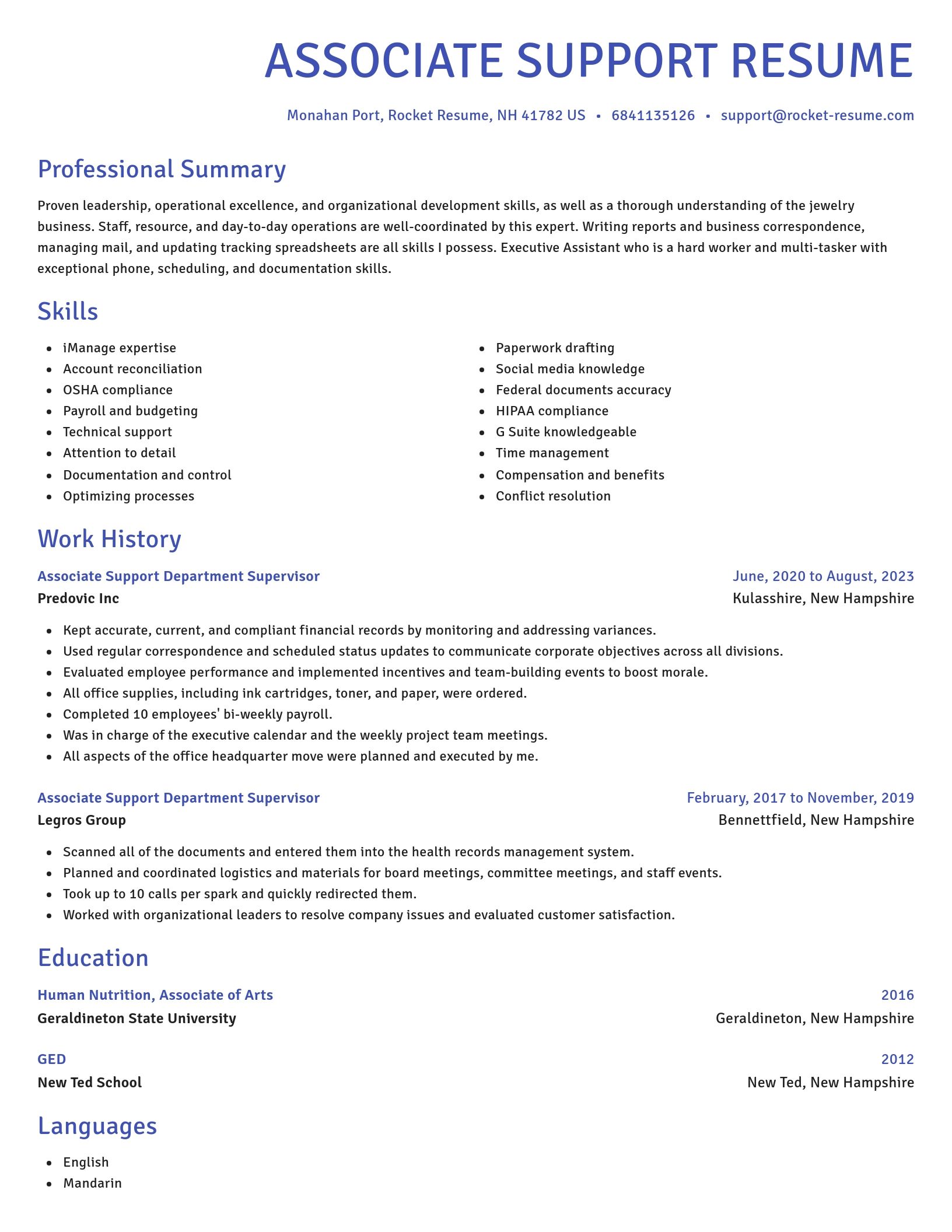 Novel resume template