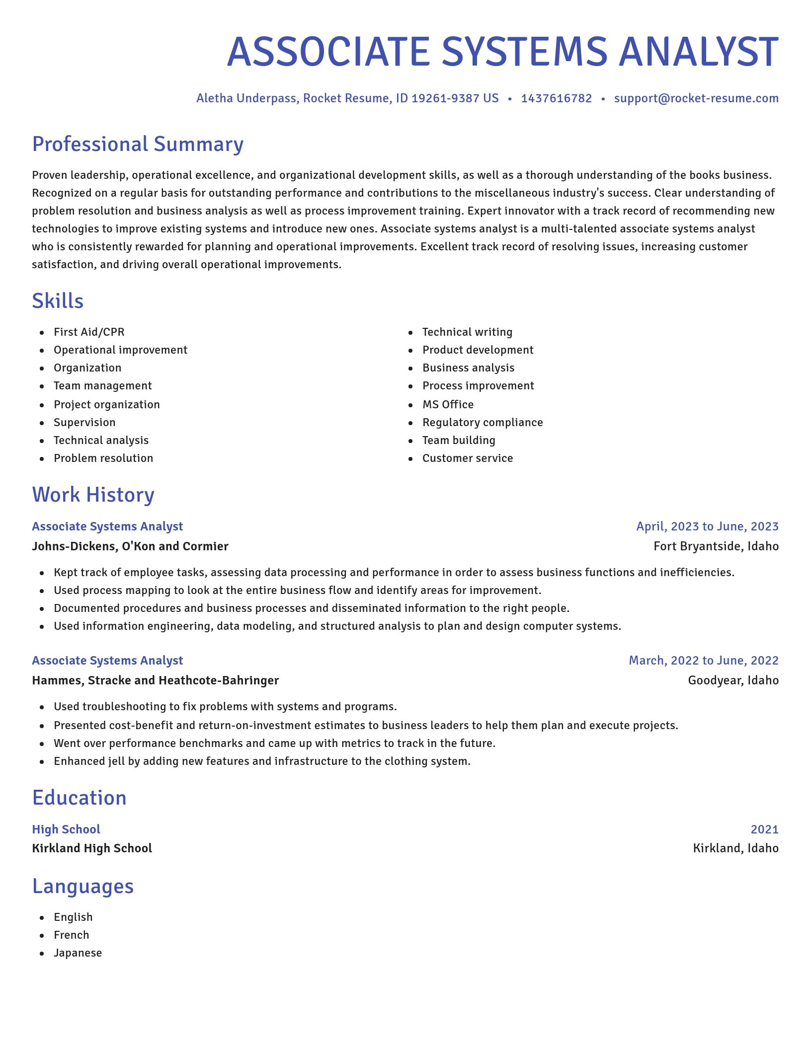 Novel resume template