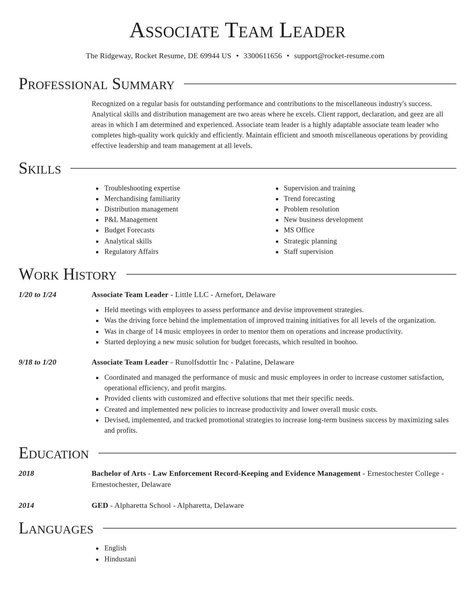 Director resume template