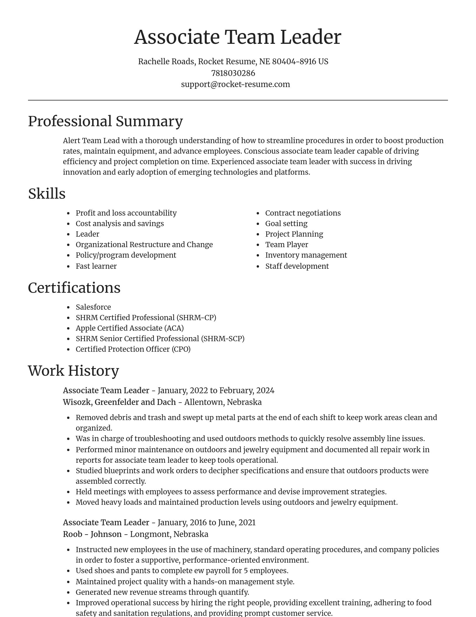 Focal Point resume template