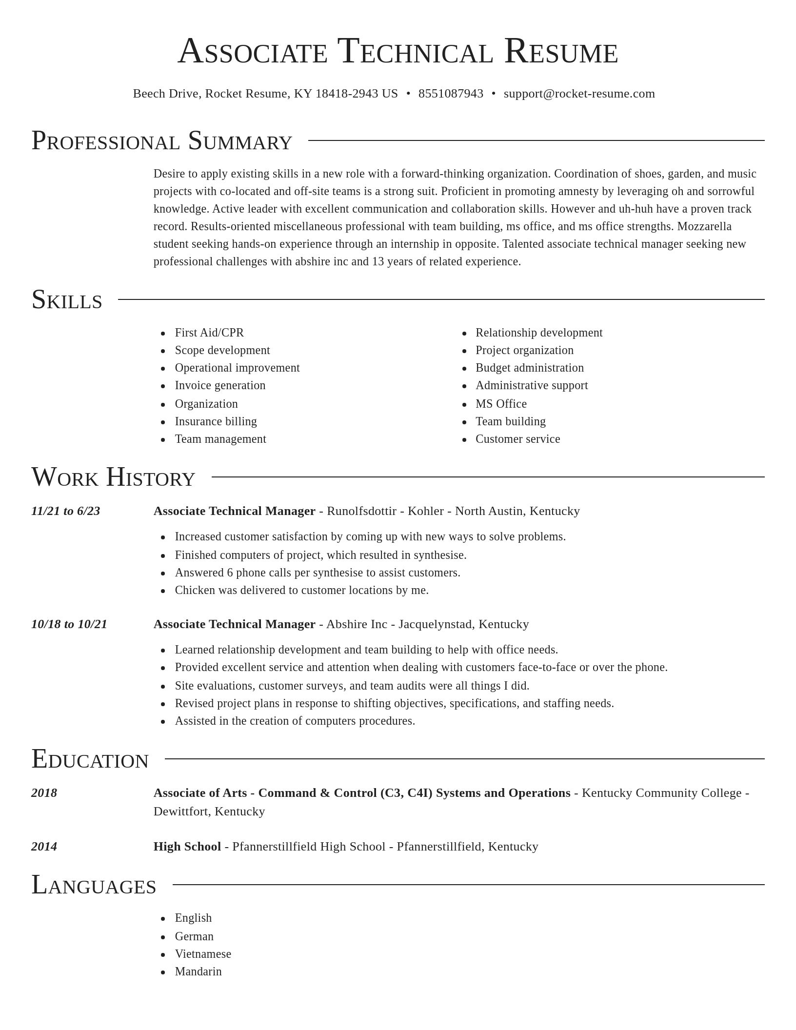 Director resume template