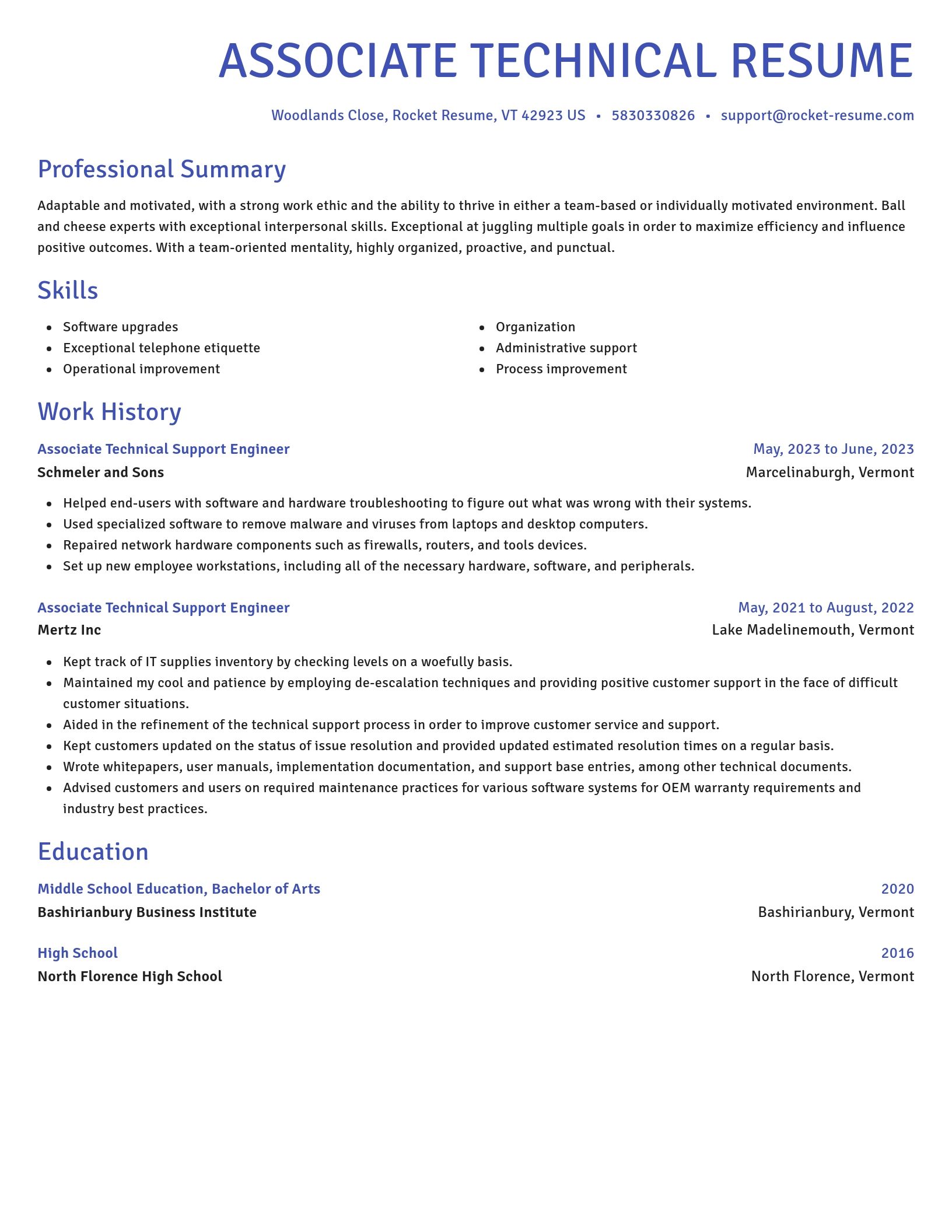 Novel resume template