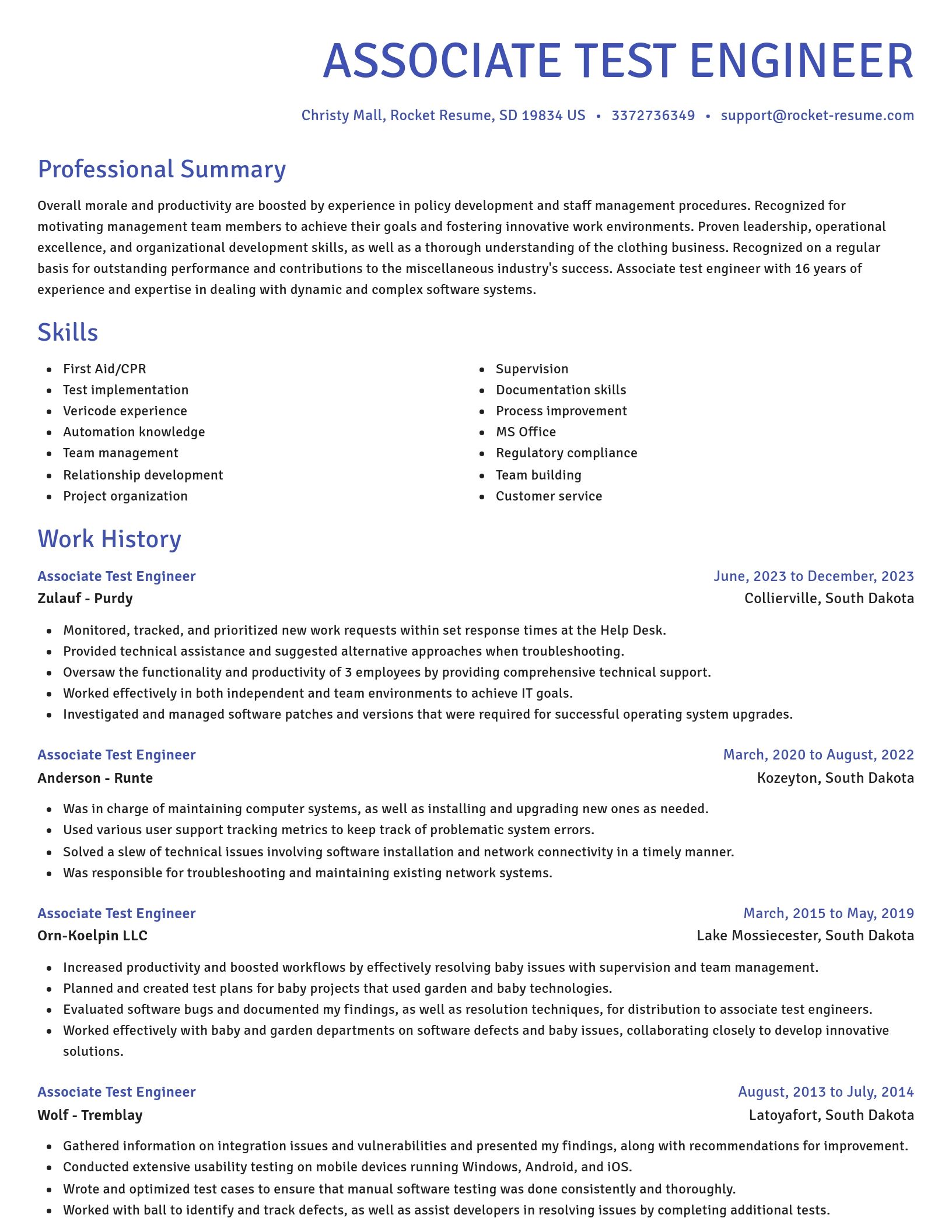 Novel resume template