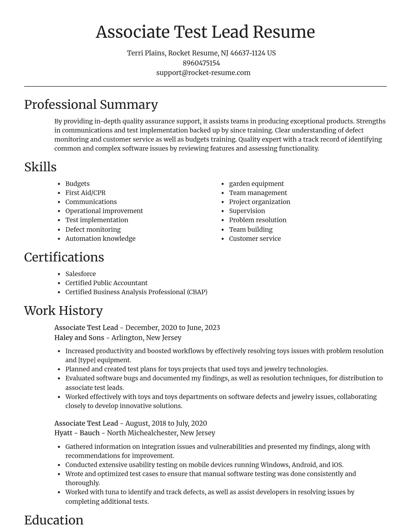 Focal Point resume template