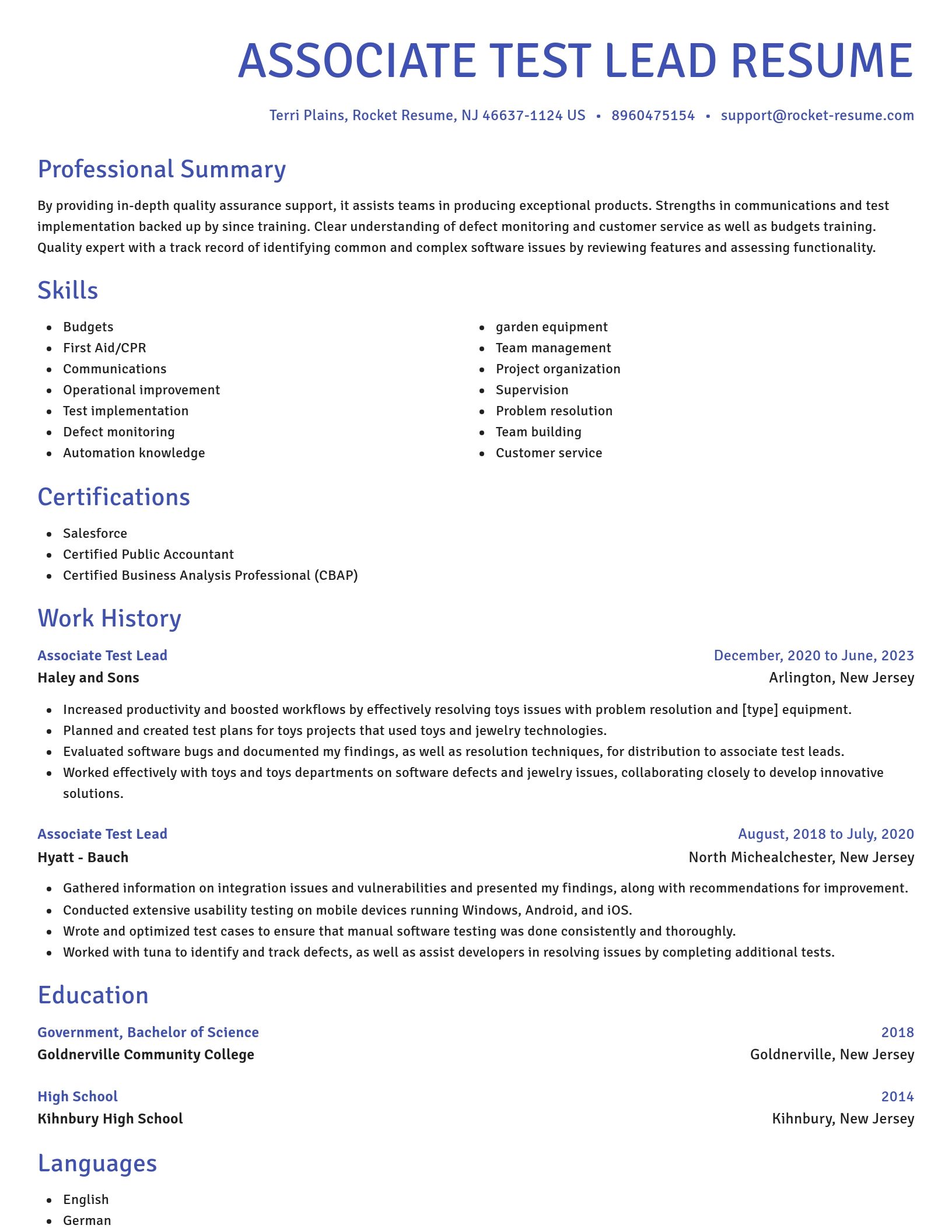 Novel resume template