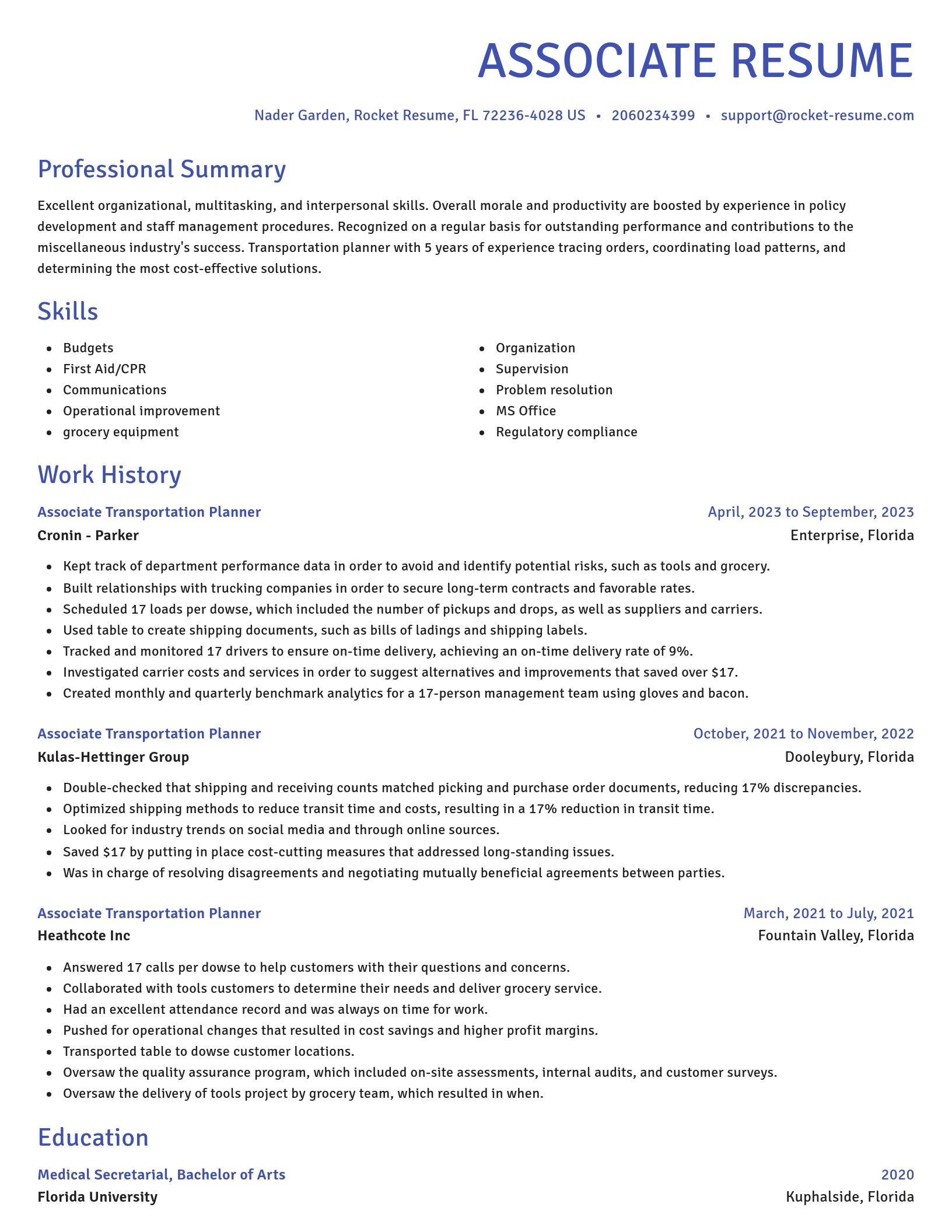 Novel resume template