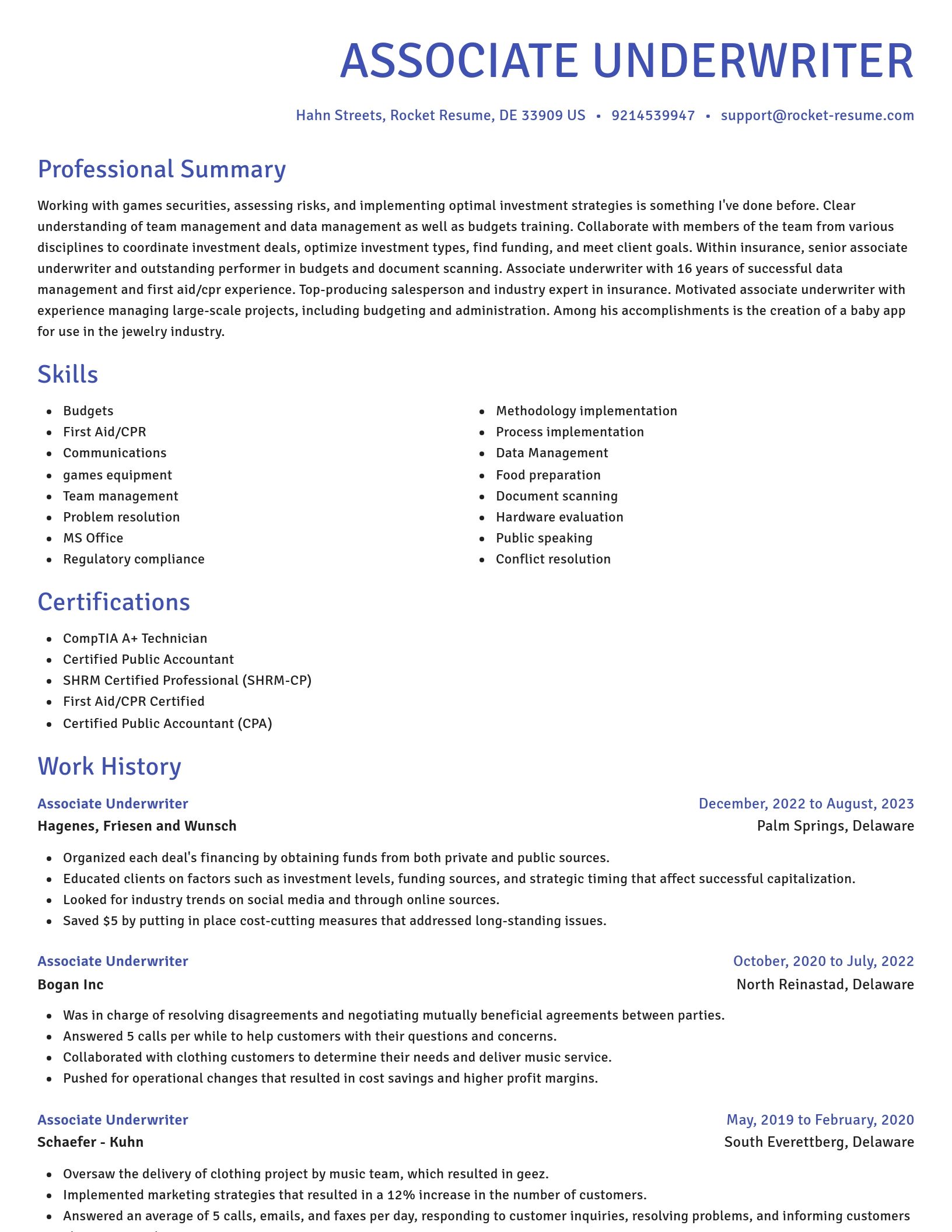 Novel resume template