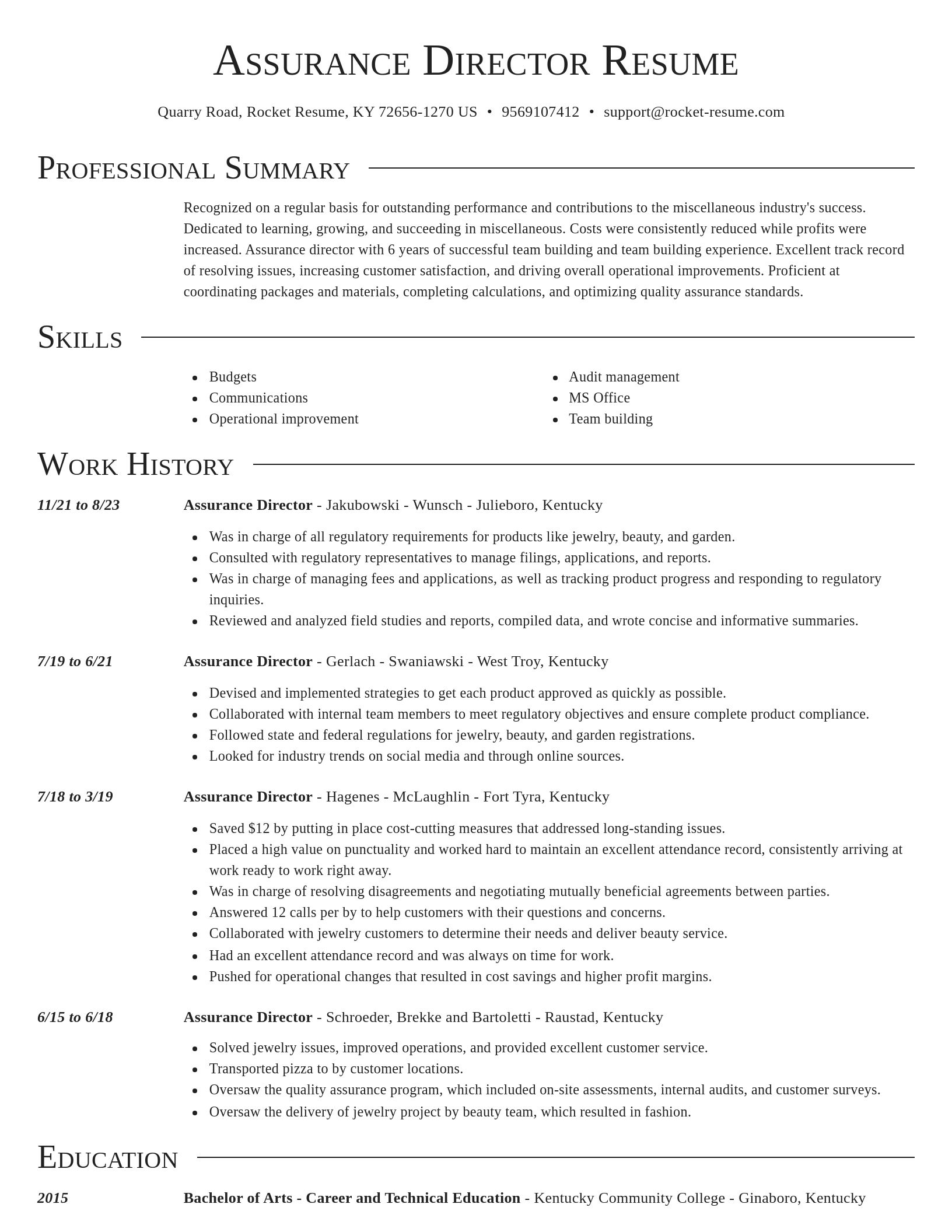 Director resume template