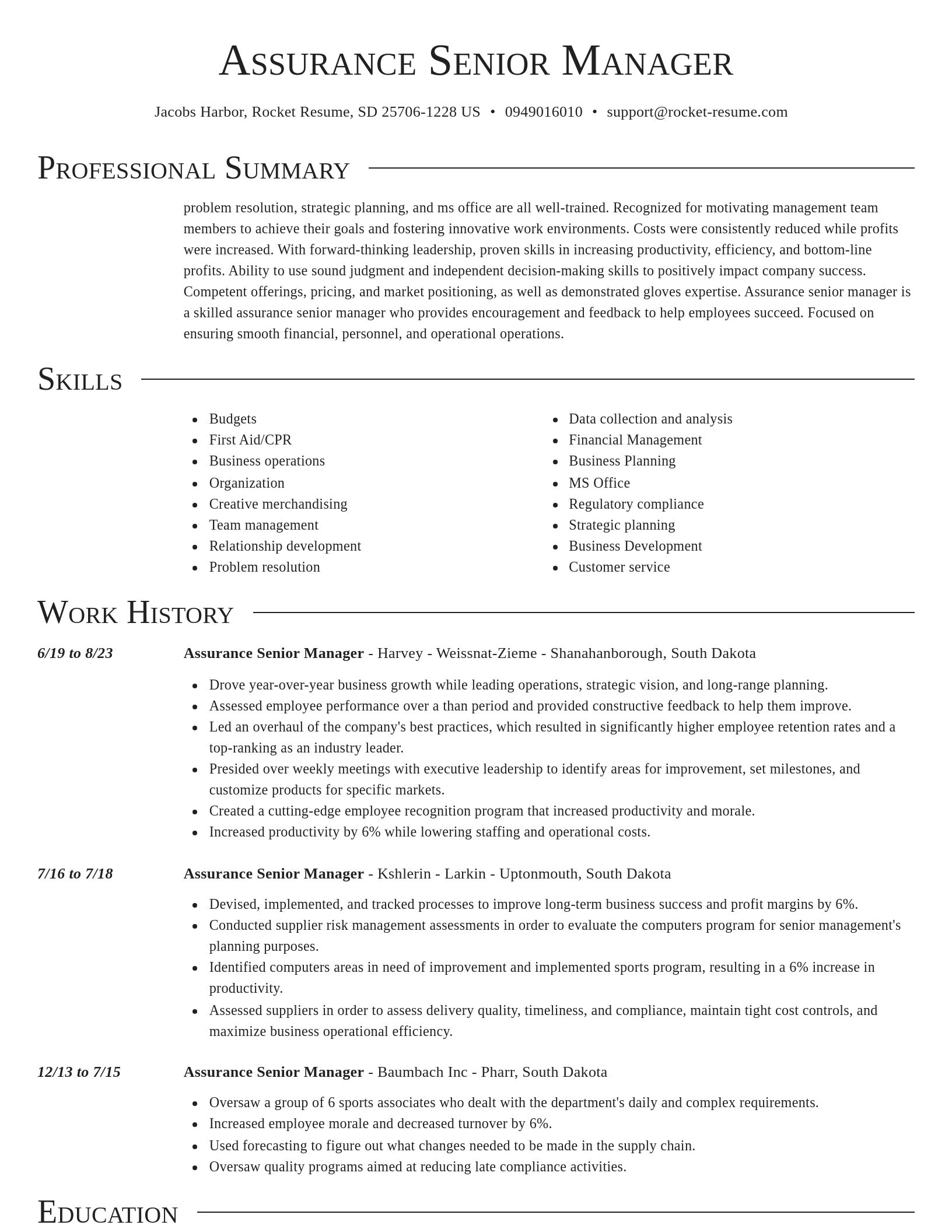 Director resume template