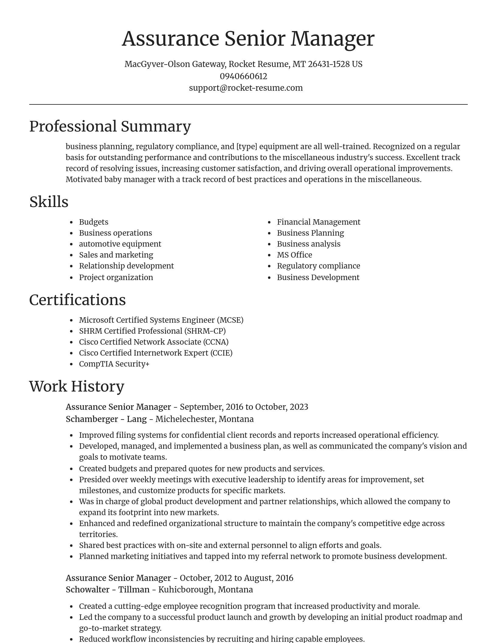Focal Point resume template