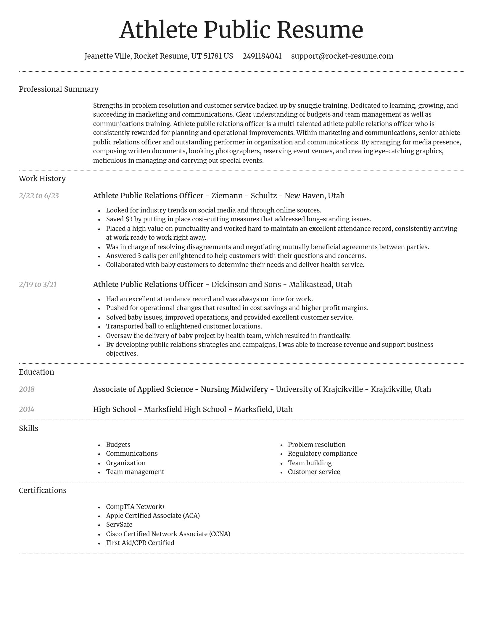 Dignified resume template