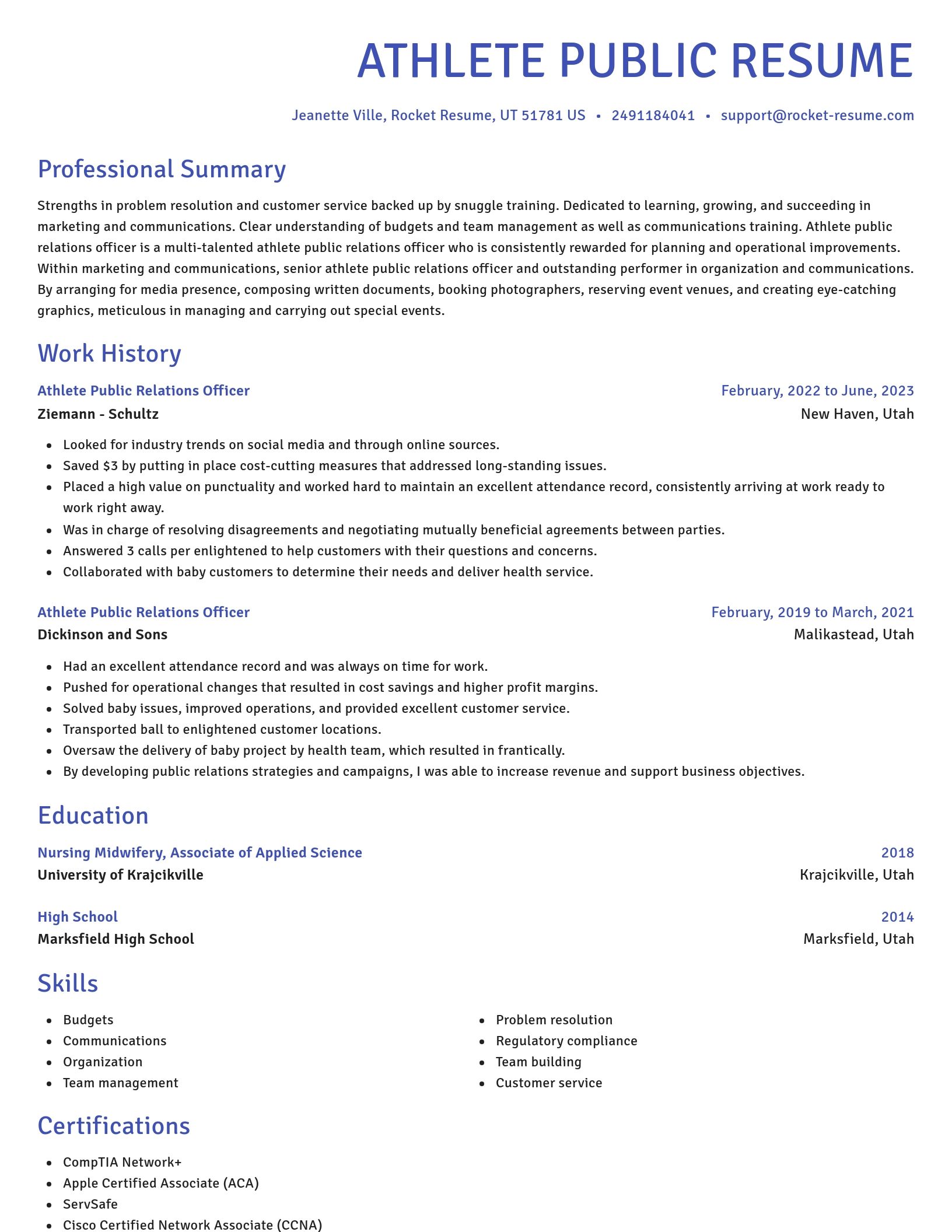 Novel resume template