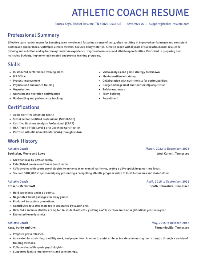 Novel resume template
