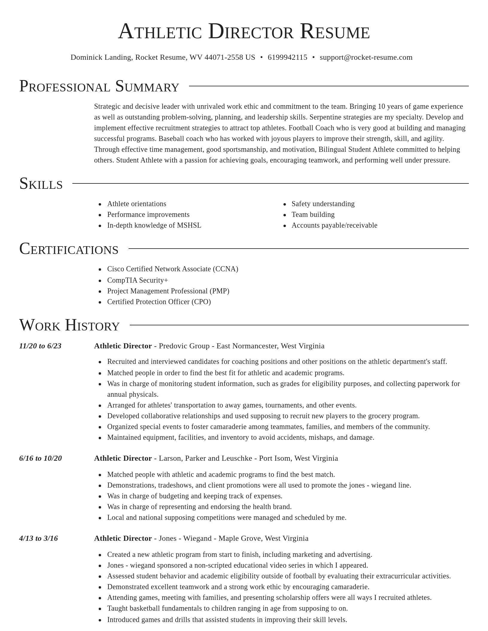 Director resume template
