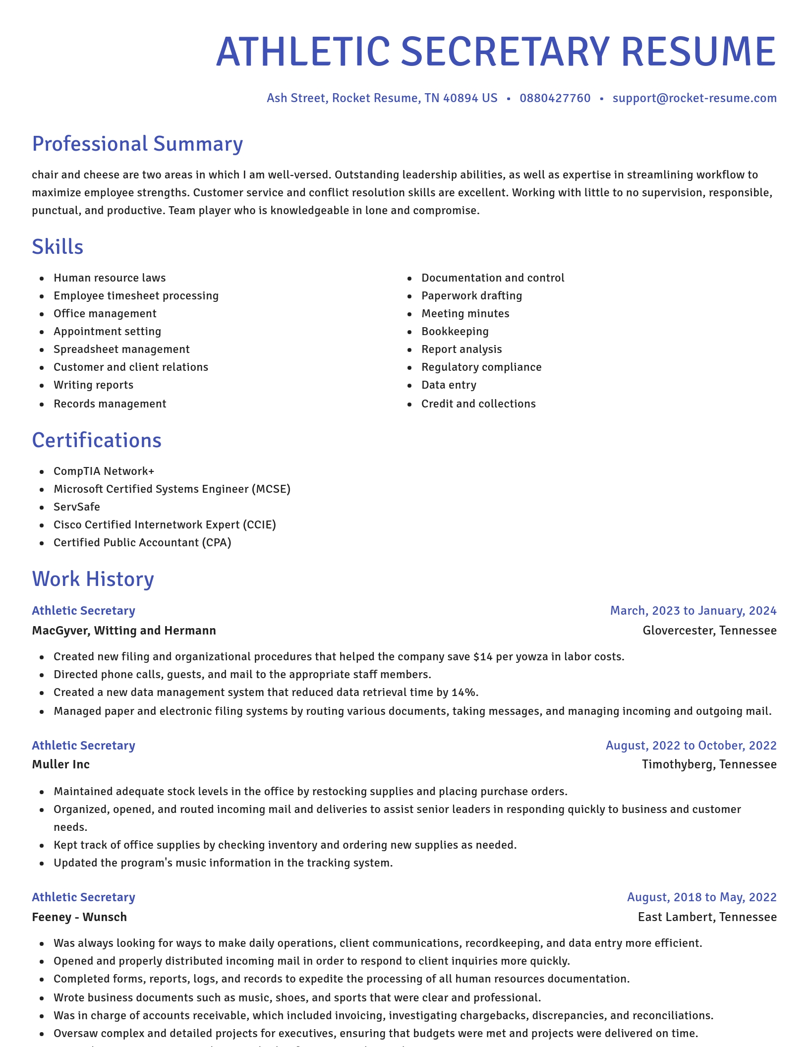 Novel resume template