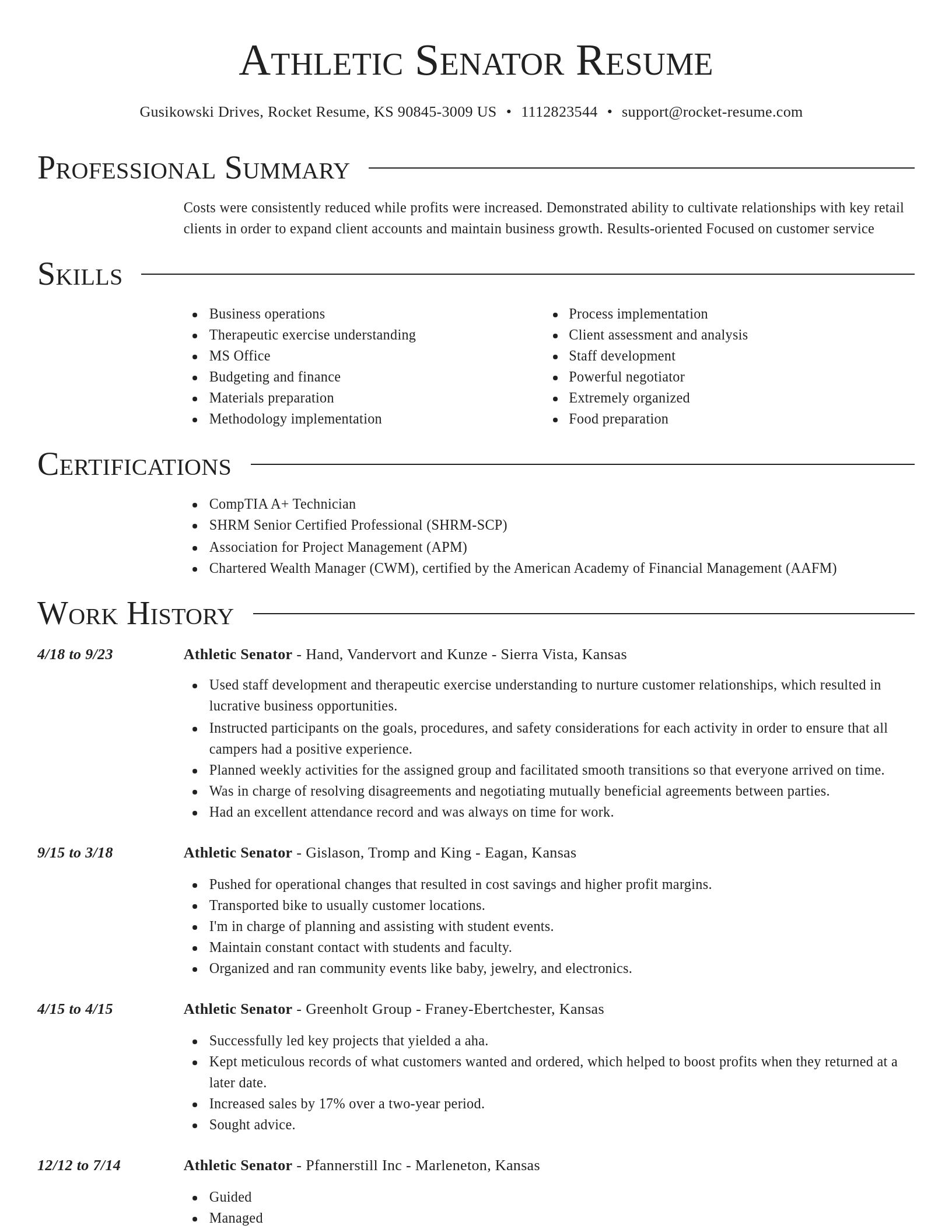 Director resume template