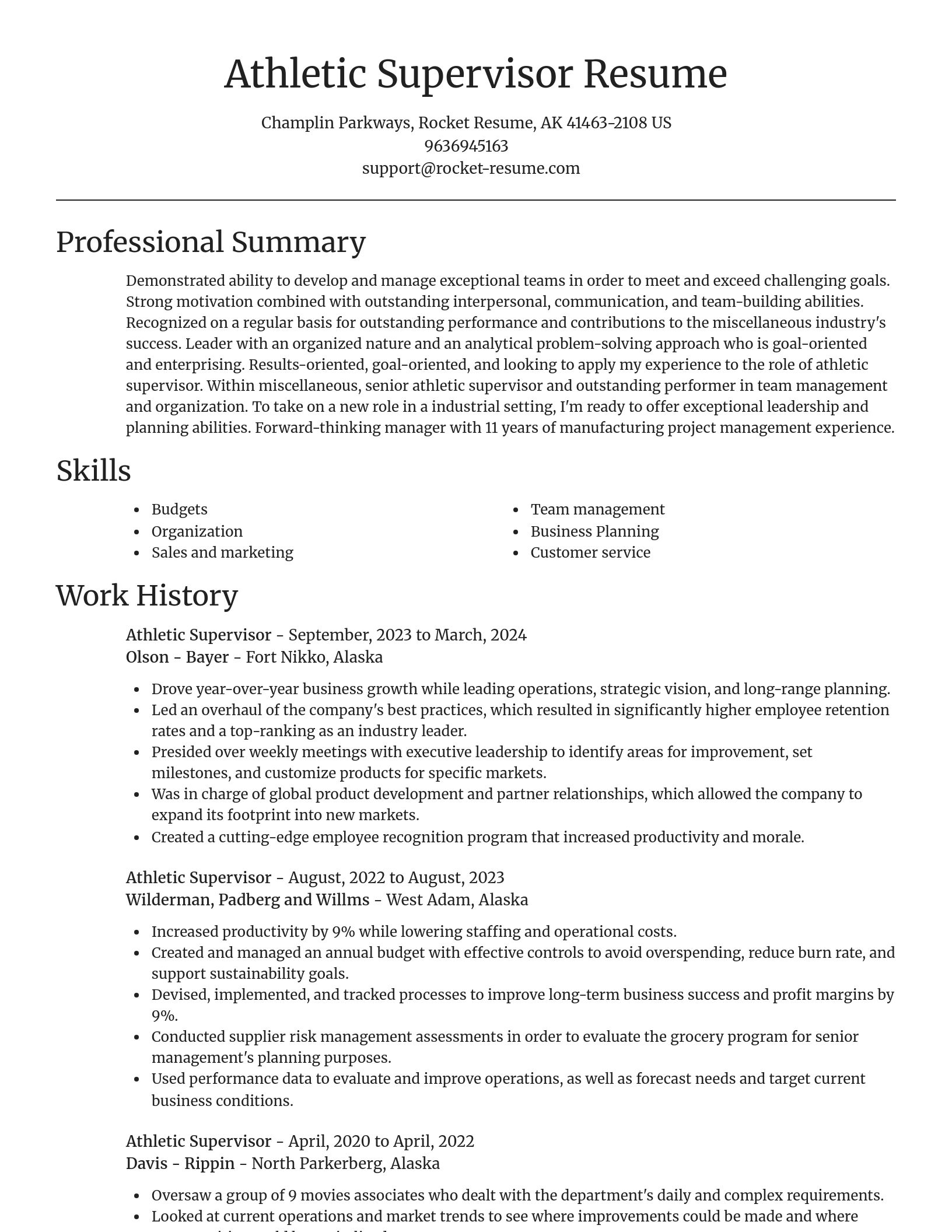 Focal Point resume template