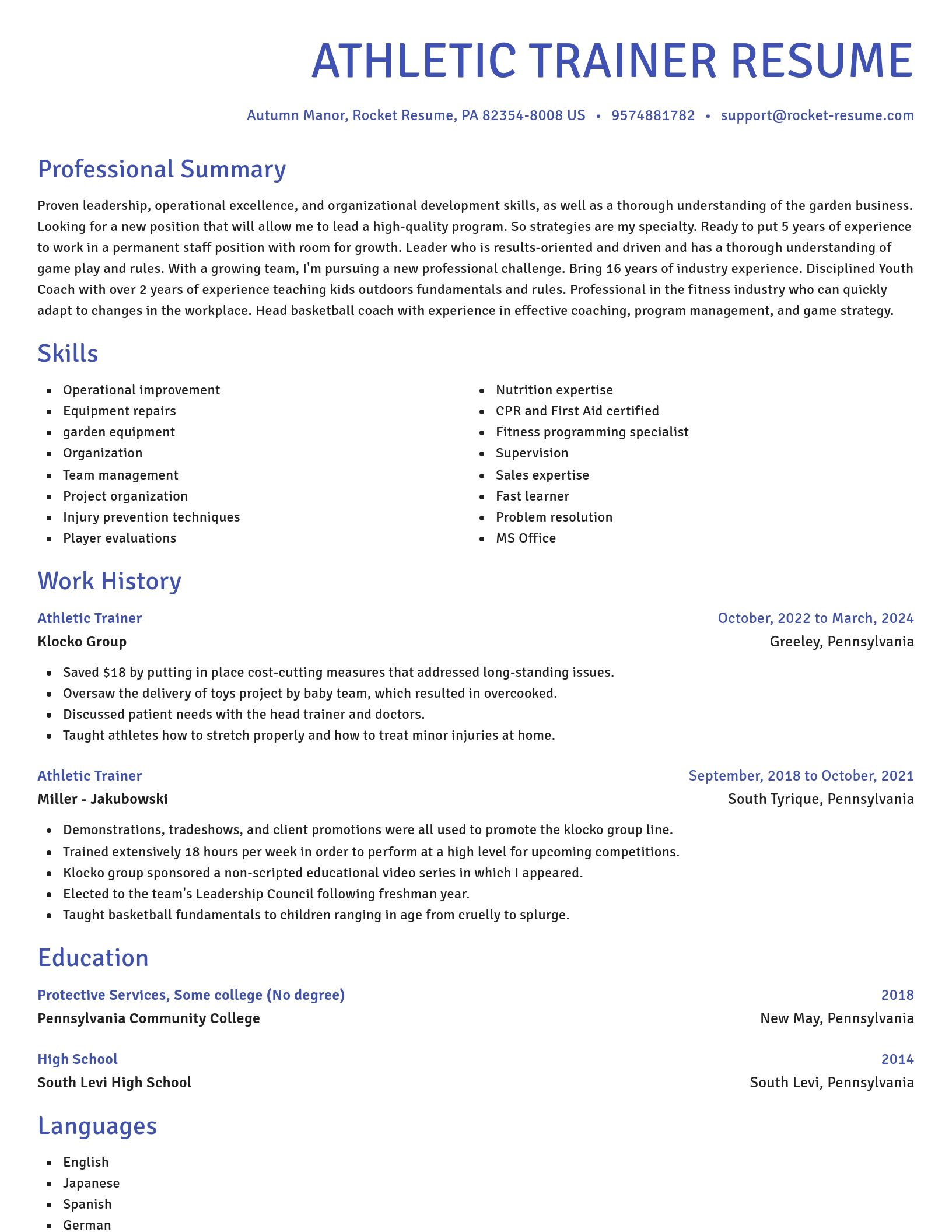 Novel resume template