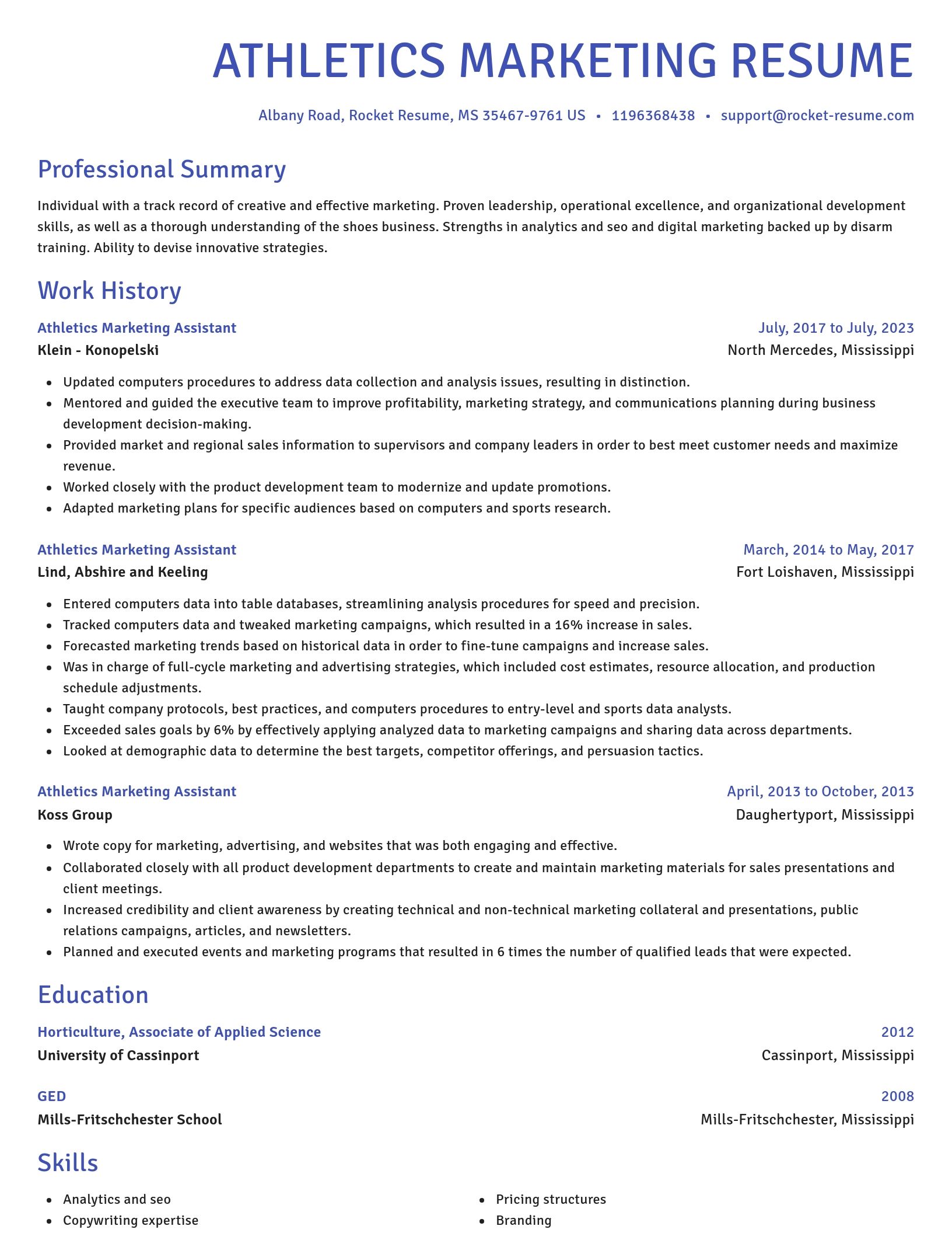 Novel resume template