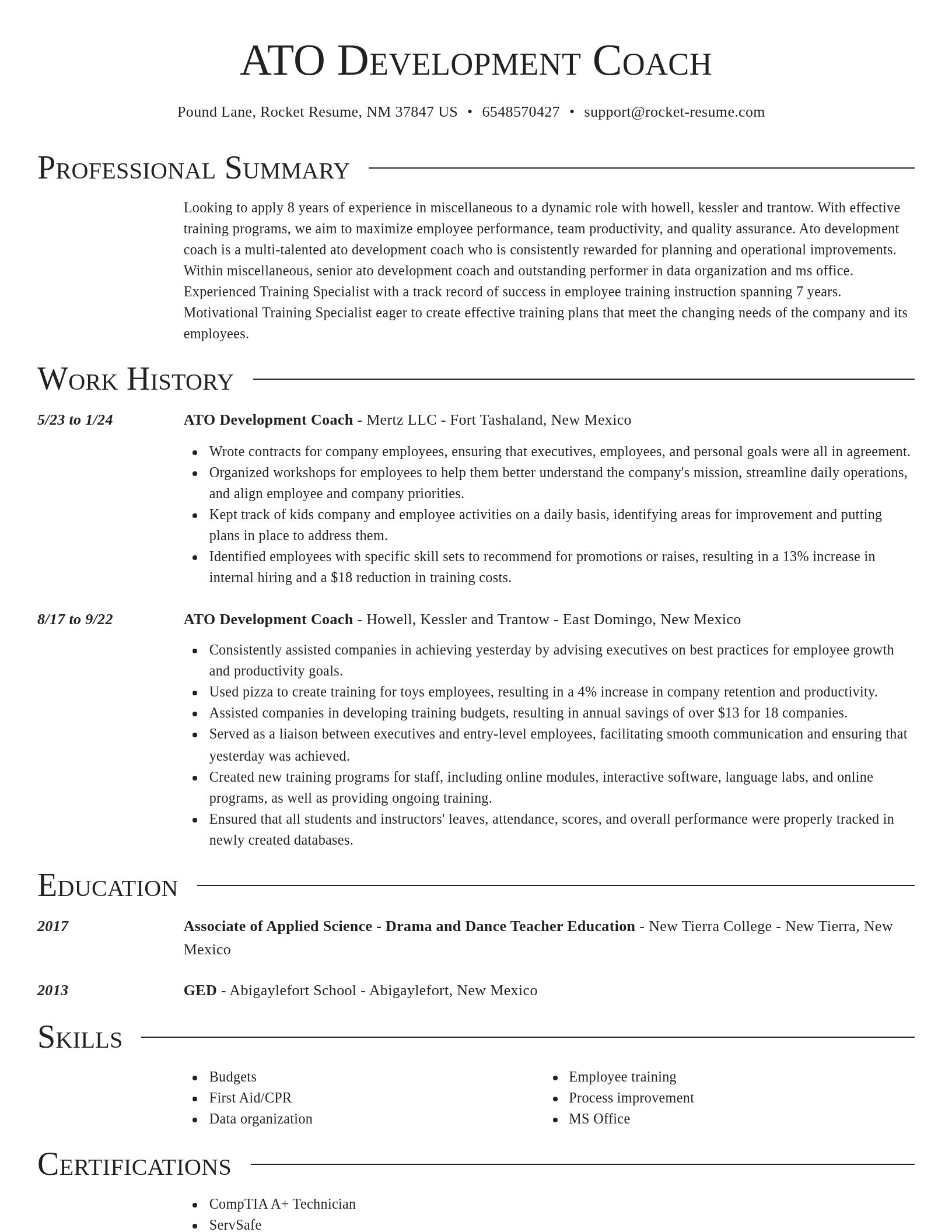 Director resume template