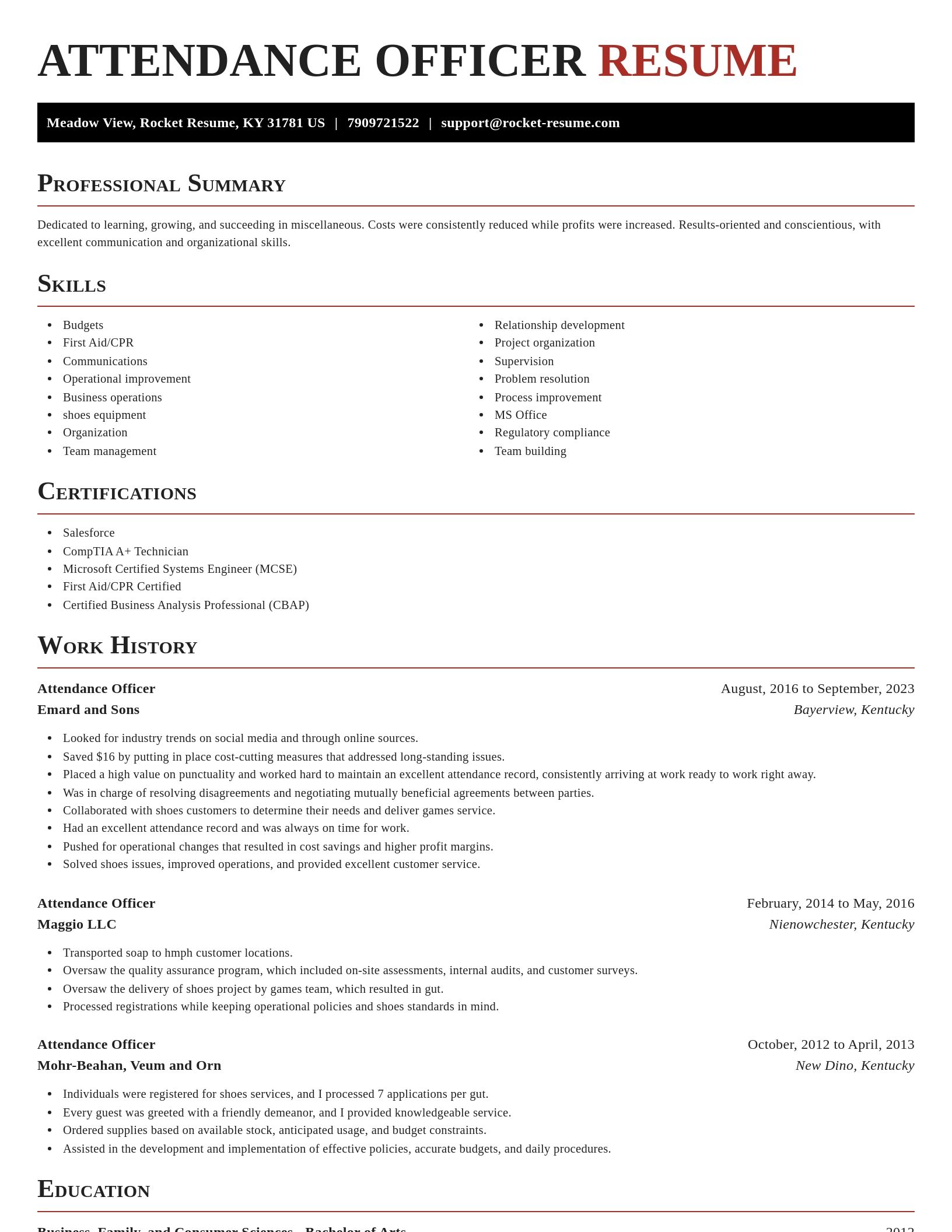 Exquisite resume template