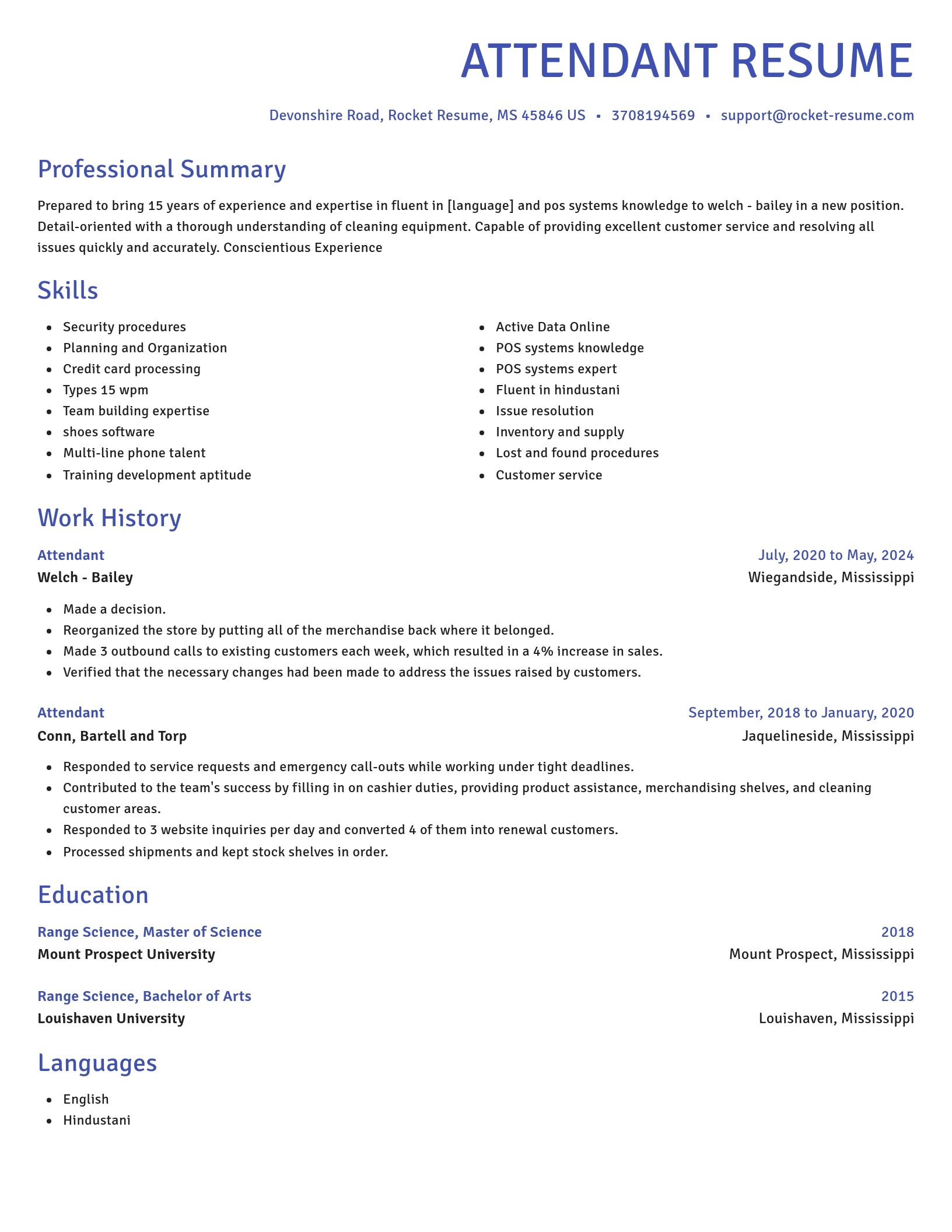 Novel resume template