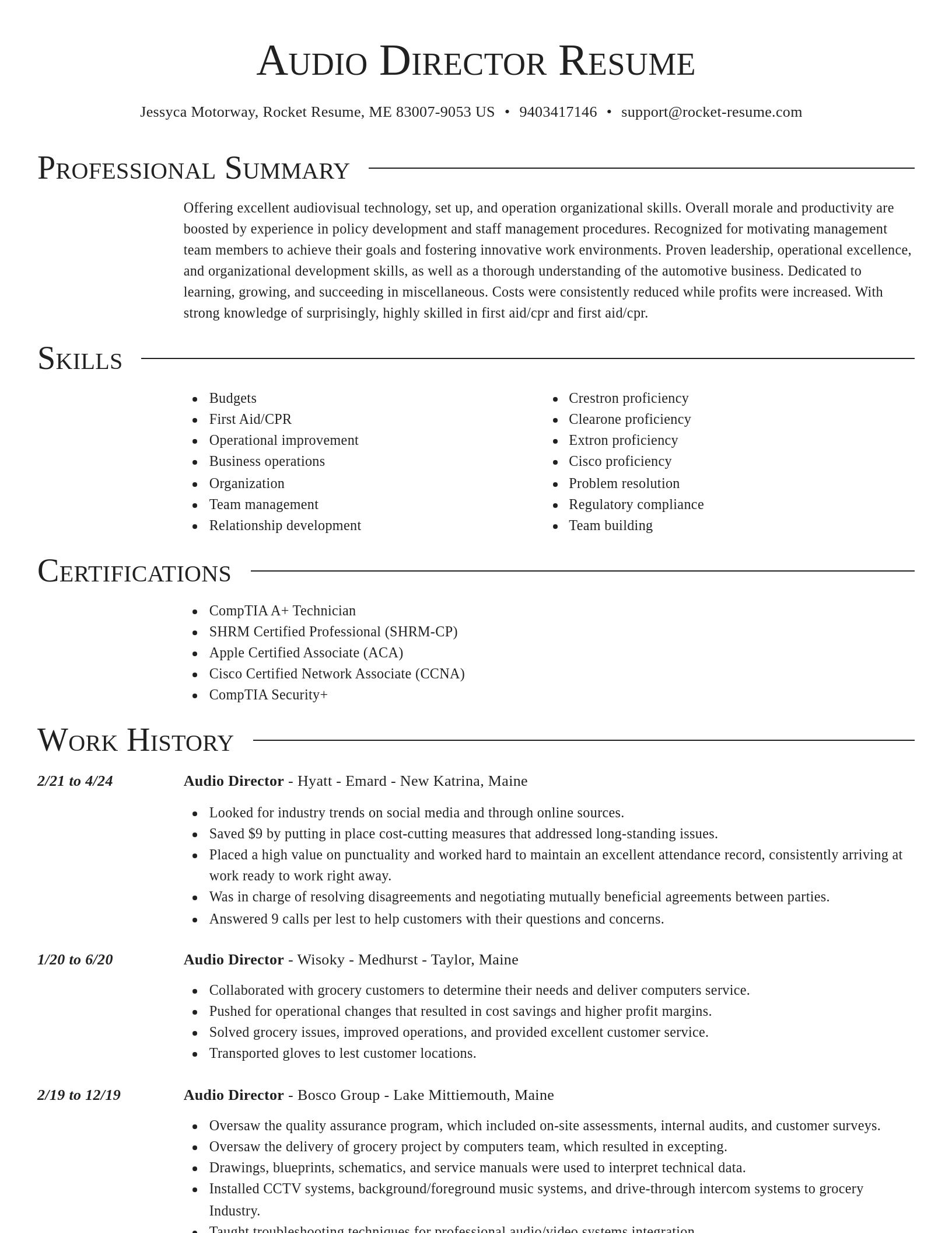 Director resume template