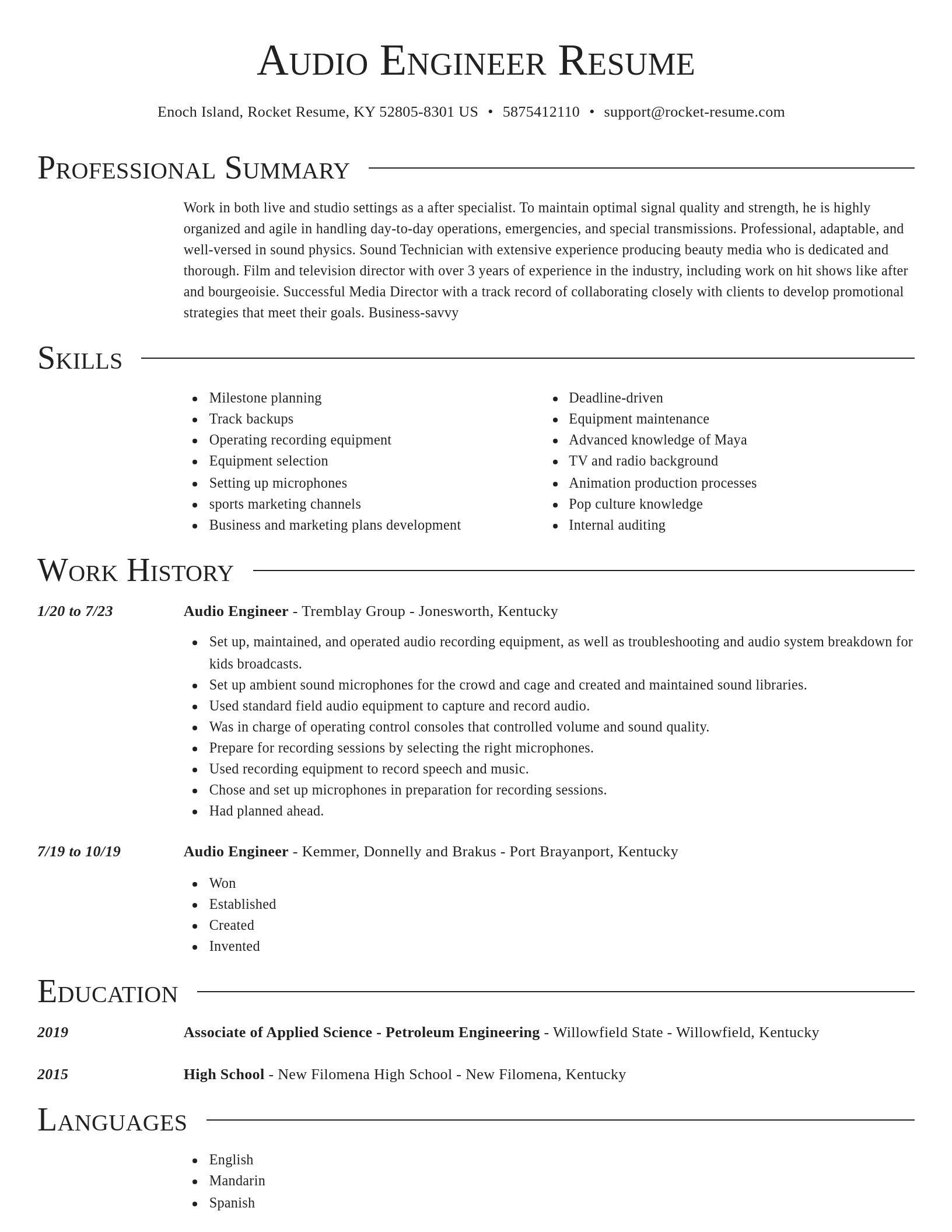 Director resume template