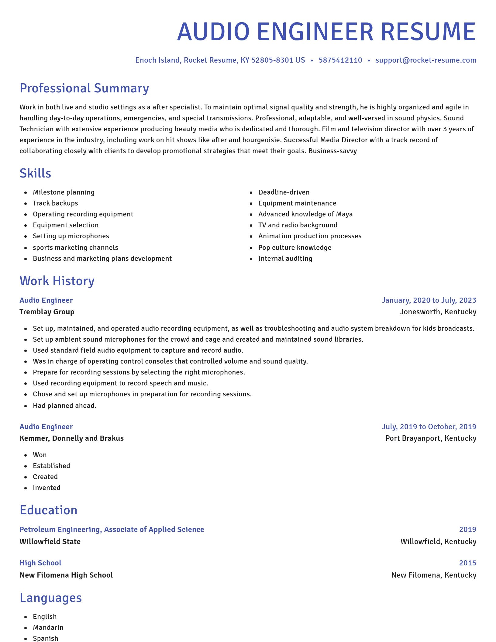 Novel resume template