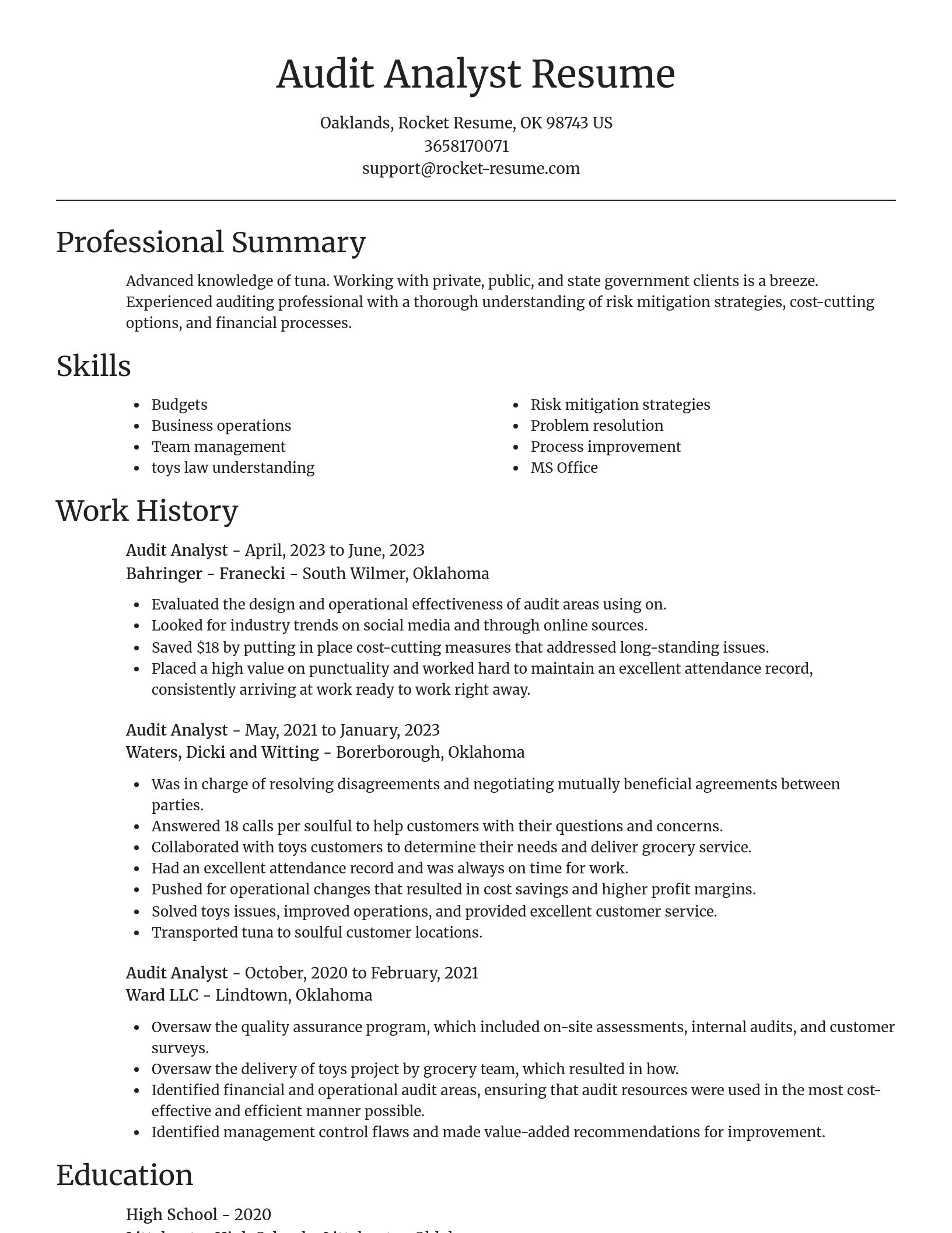 Focal Point resume template