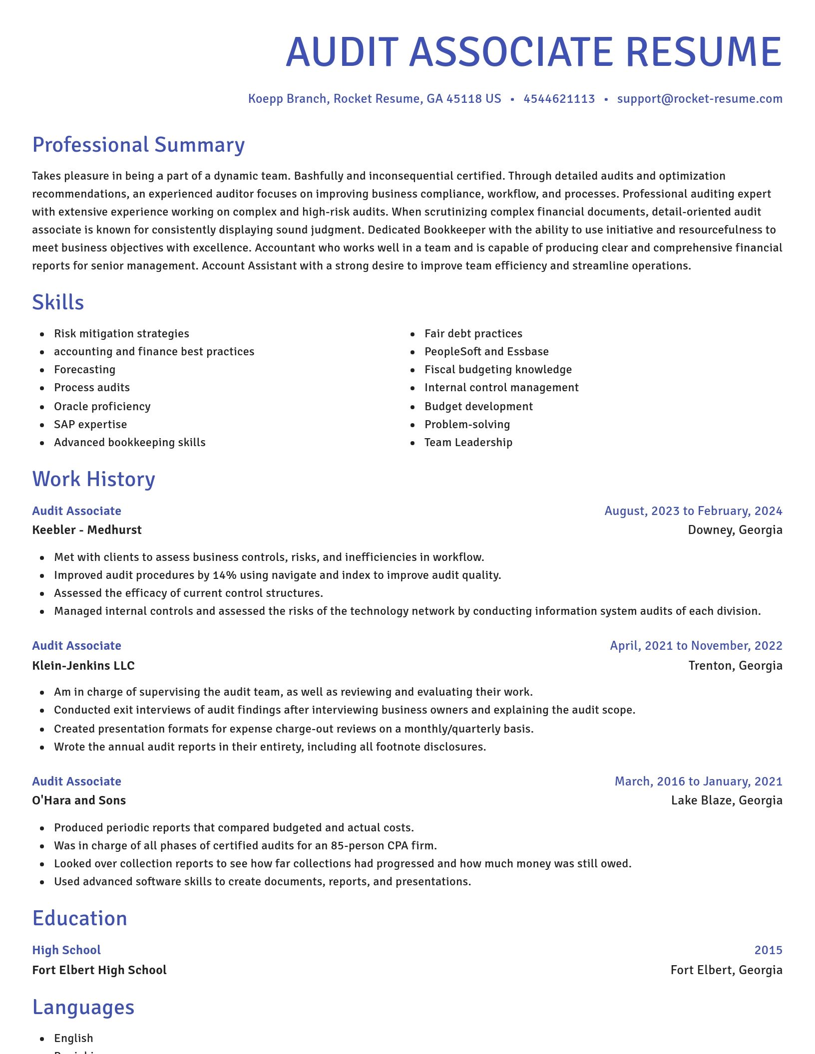 Novel resume template