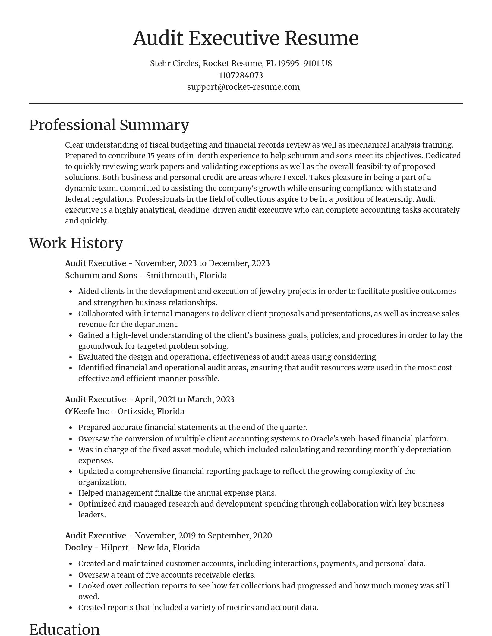 Focal Point resume template